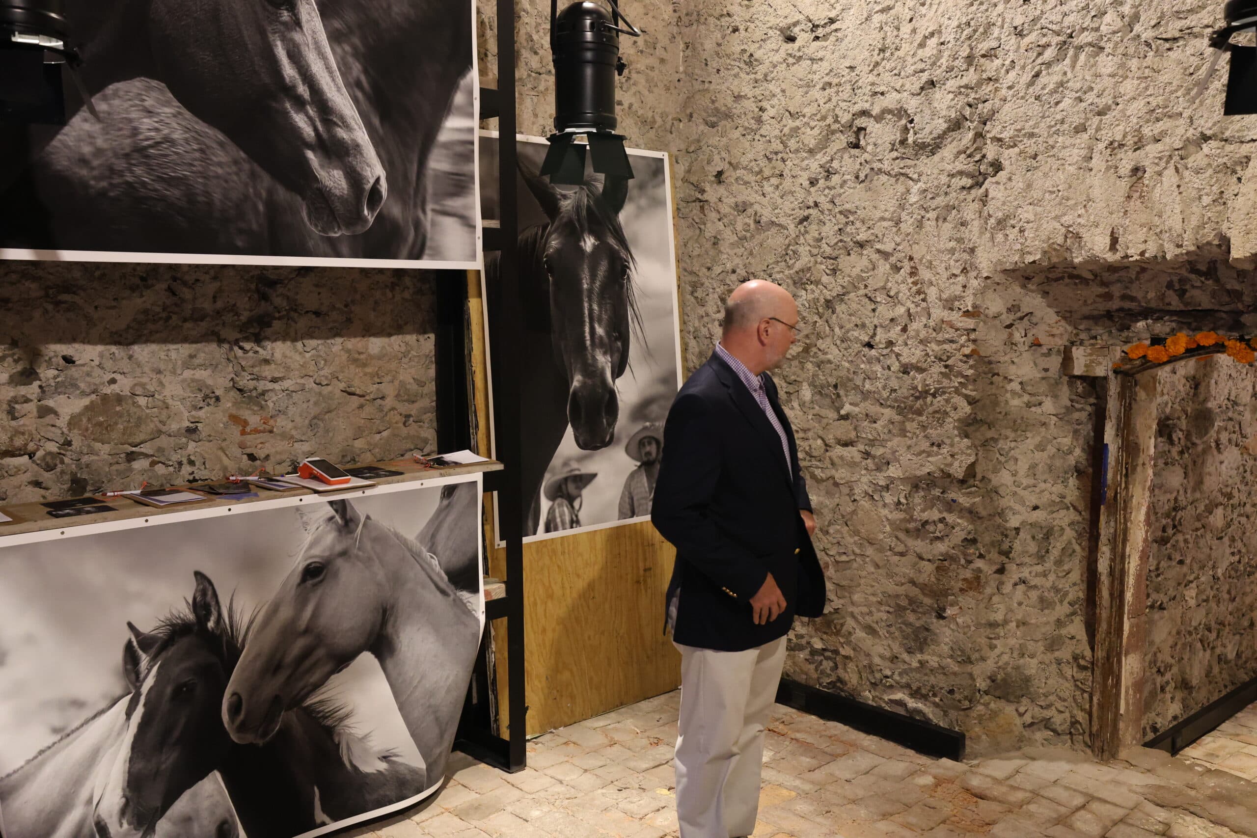 Echoes in Motion gallery photo 2