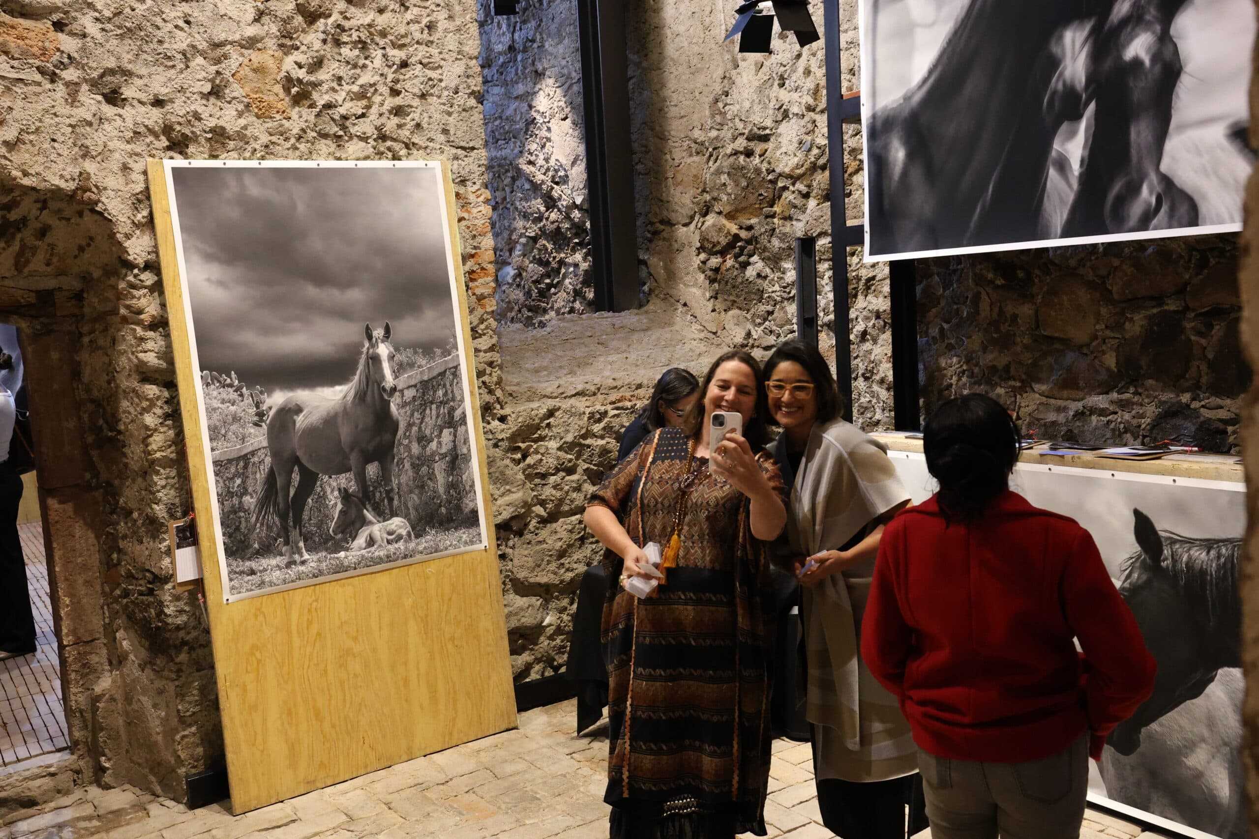 Echoes in Motion gallery photo 3