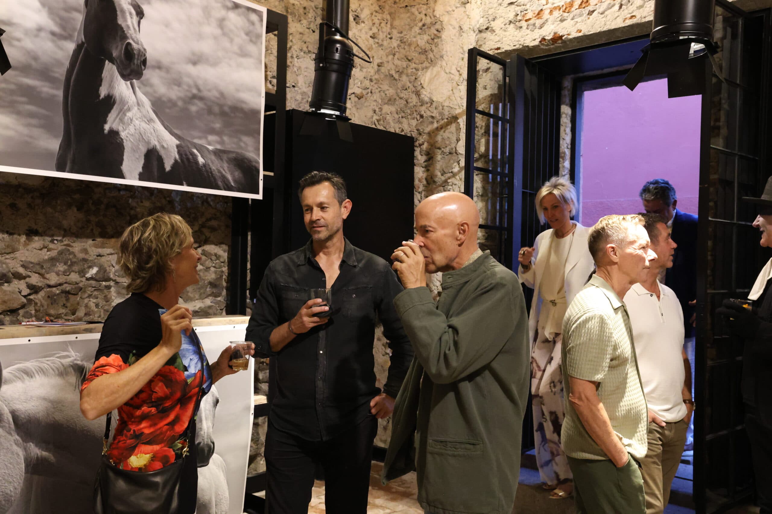 Echoes in Motion gallery photo 10