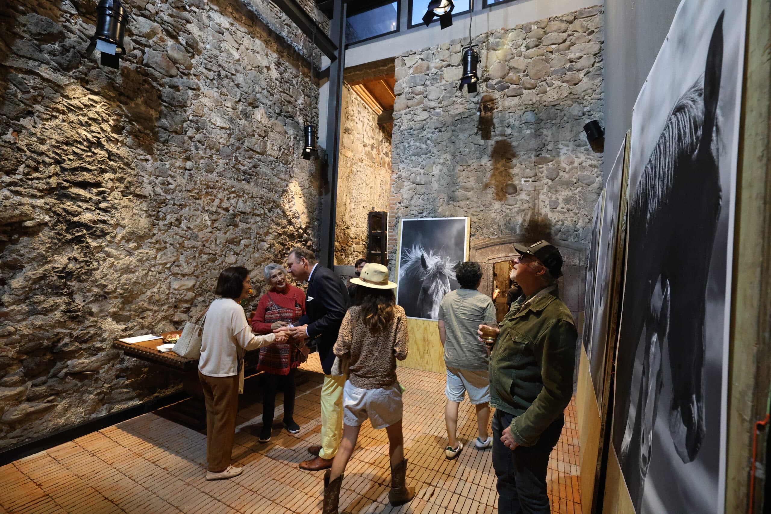 Echoes in Motion gallery photo 13