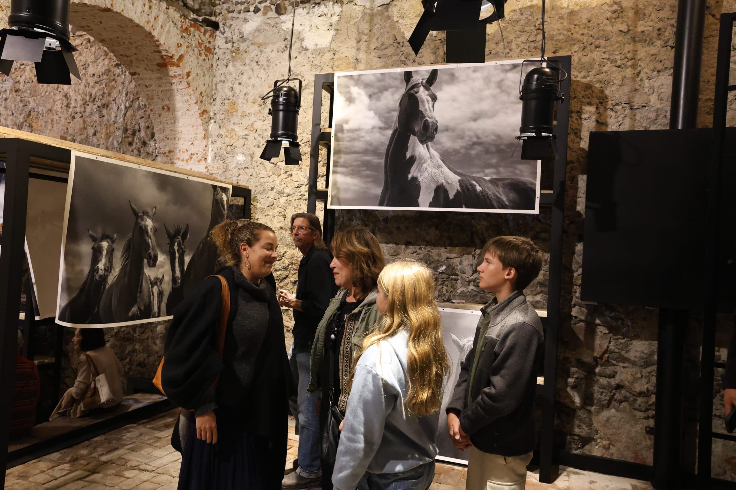 Echoes in Motion gallery photo 18