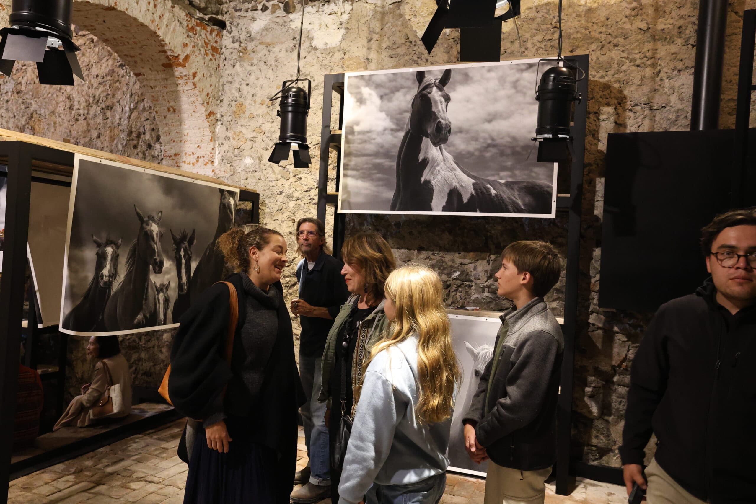 Echoes in Motion gallery photo 19