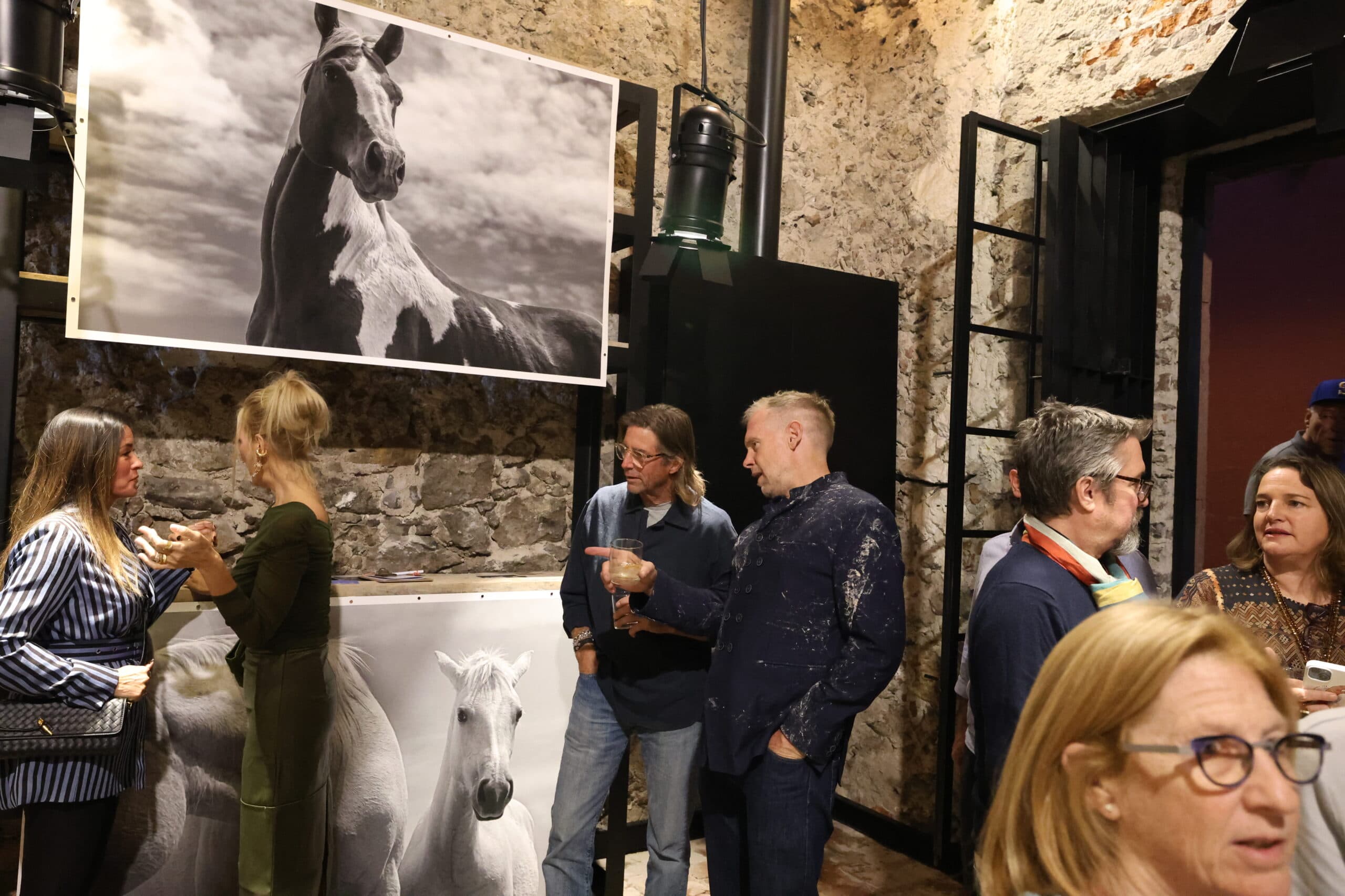 Echoes in Motion gallery photo 24