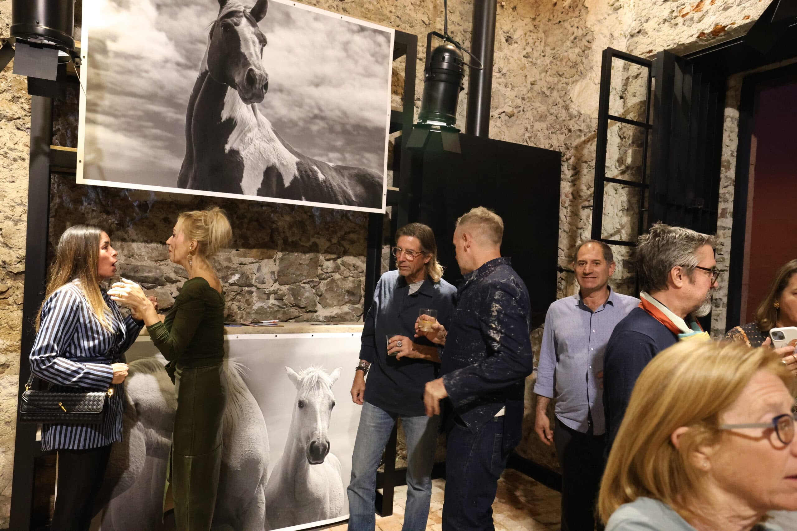 Echoes in Motion gallery photo 25