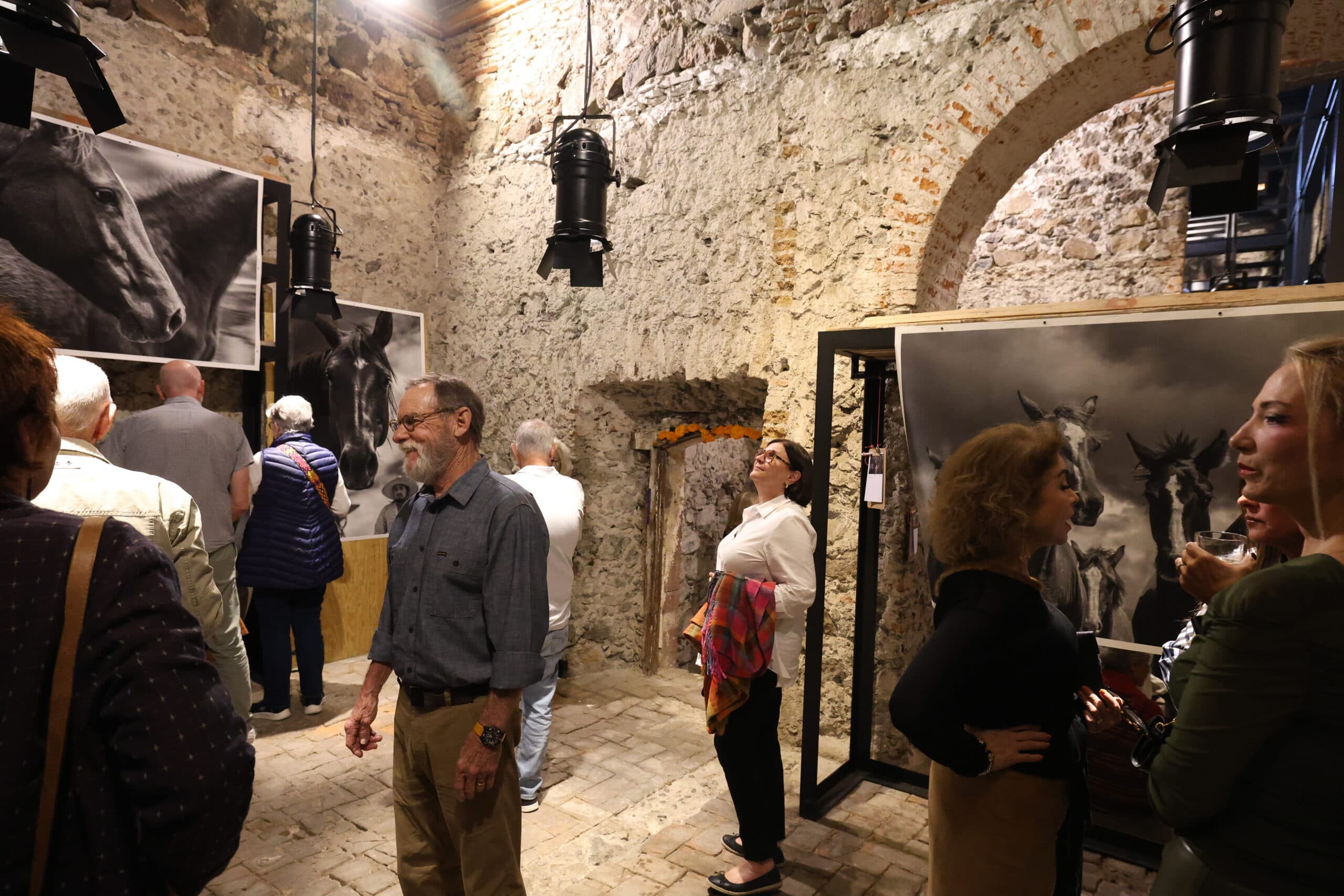 Echoes in Motion gallery photo 29