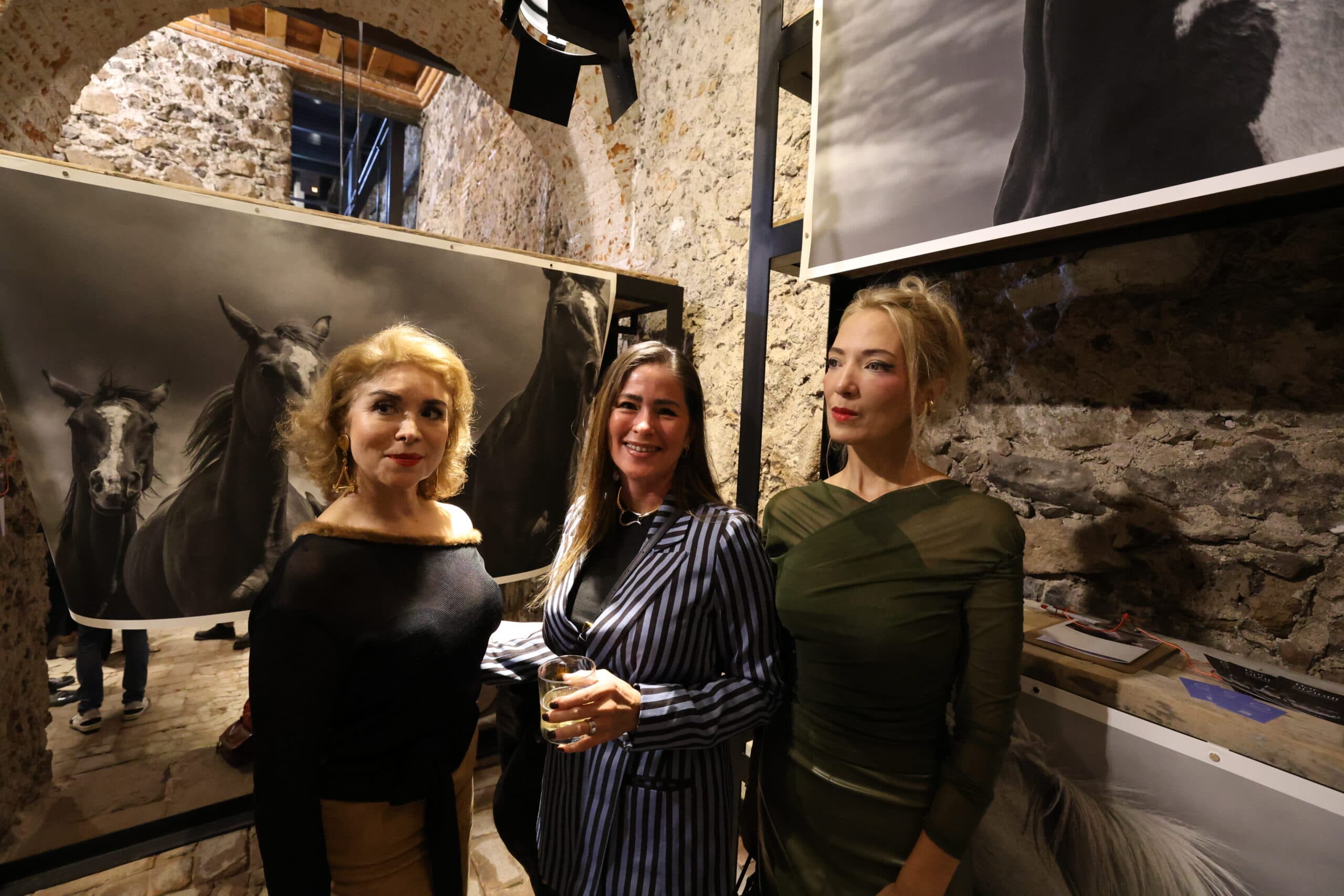 Echoes in Motion gallery photo 30