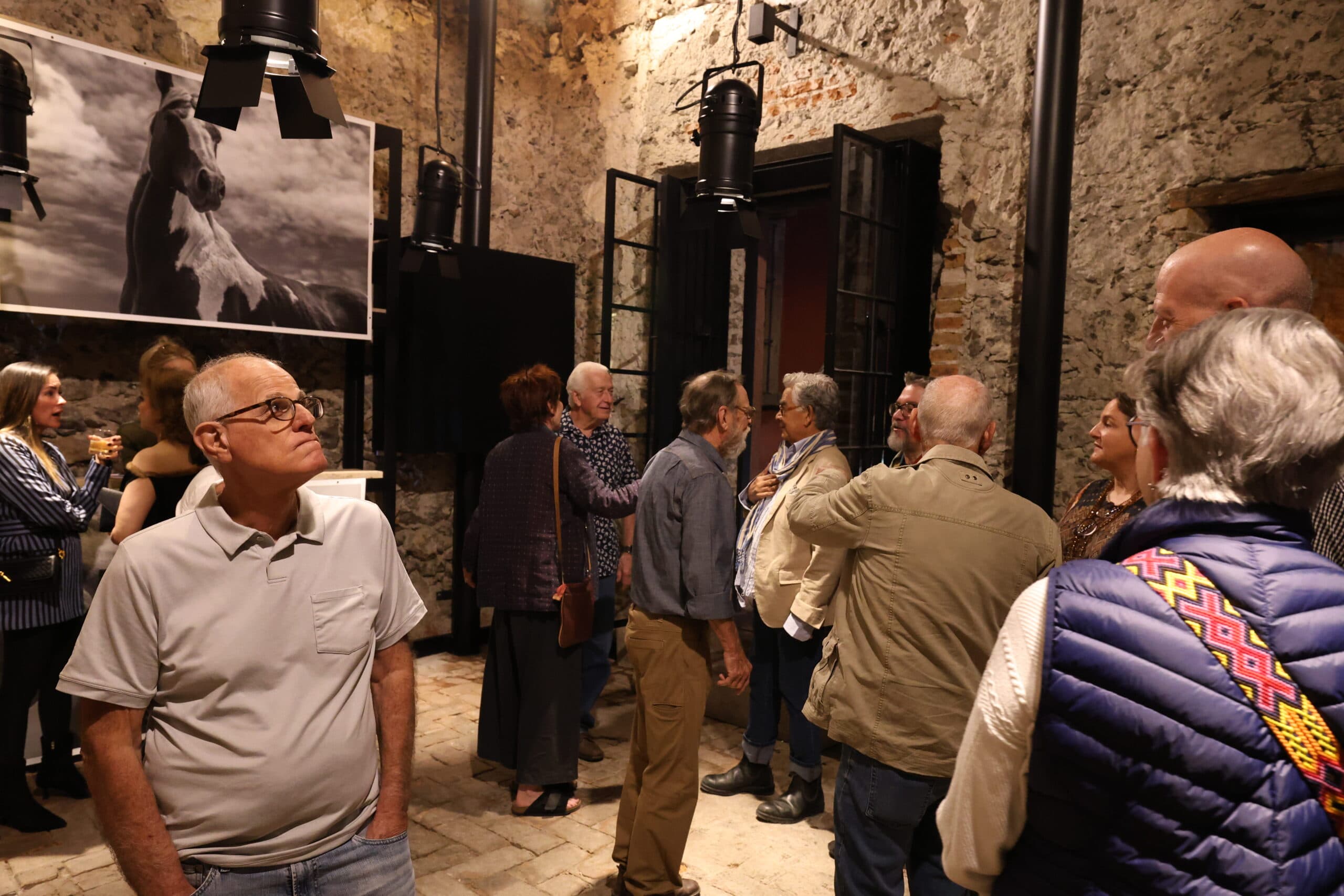 Echoes in Motion gallery photo 31