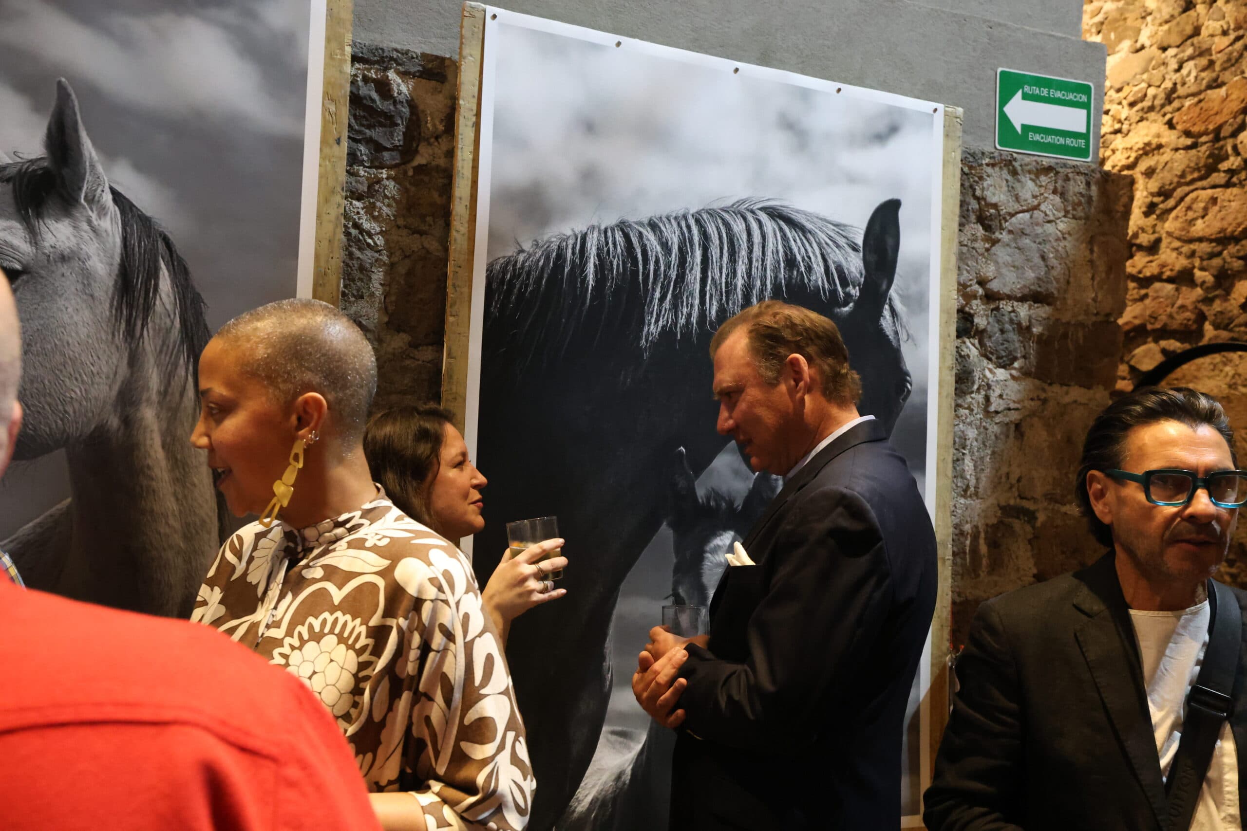 Echoes in Motion gallery photo 34