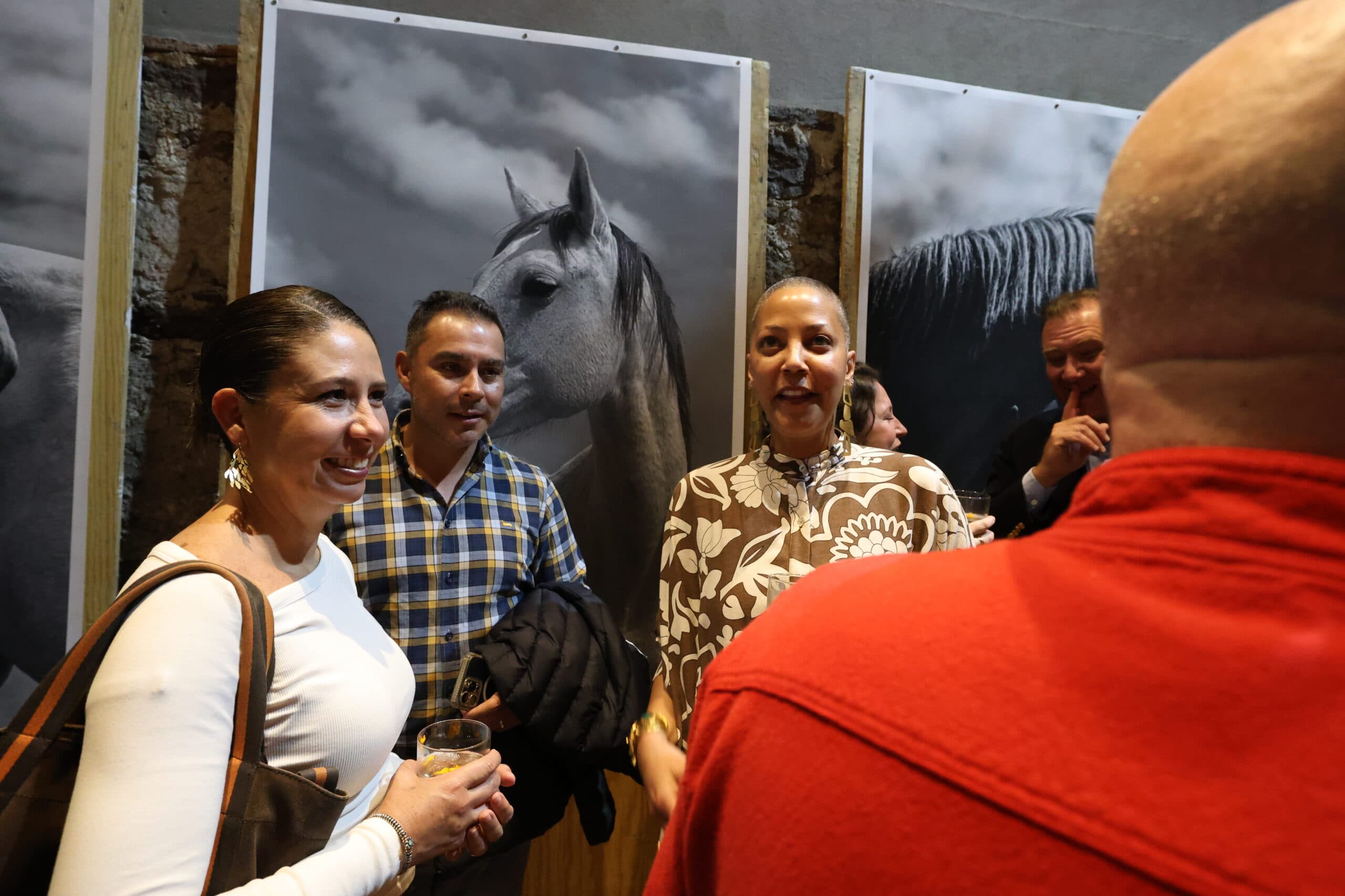 Echoes in Motion gallery photo 35