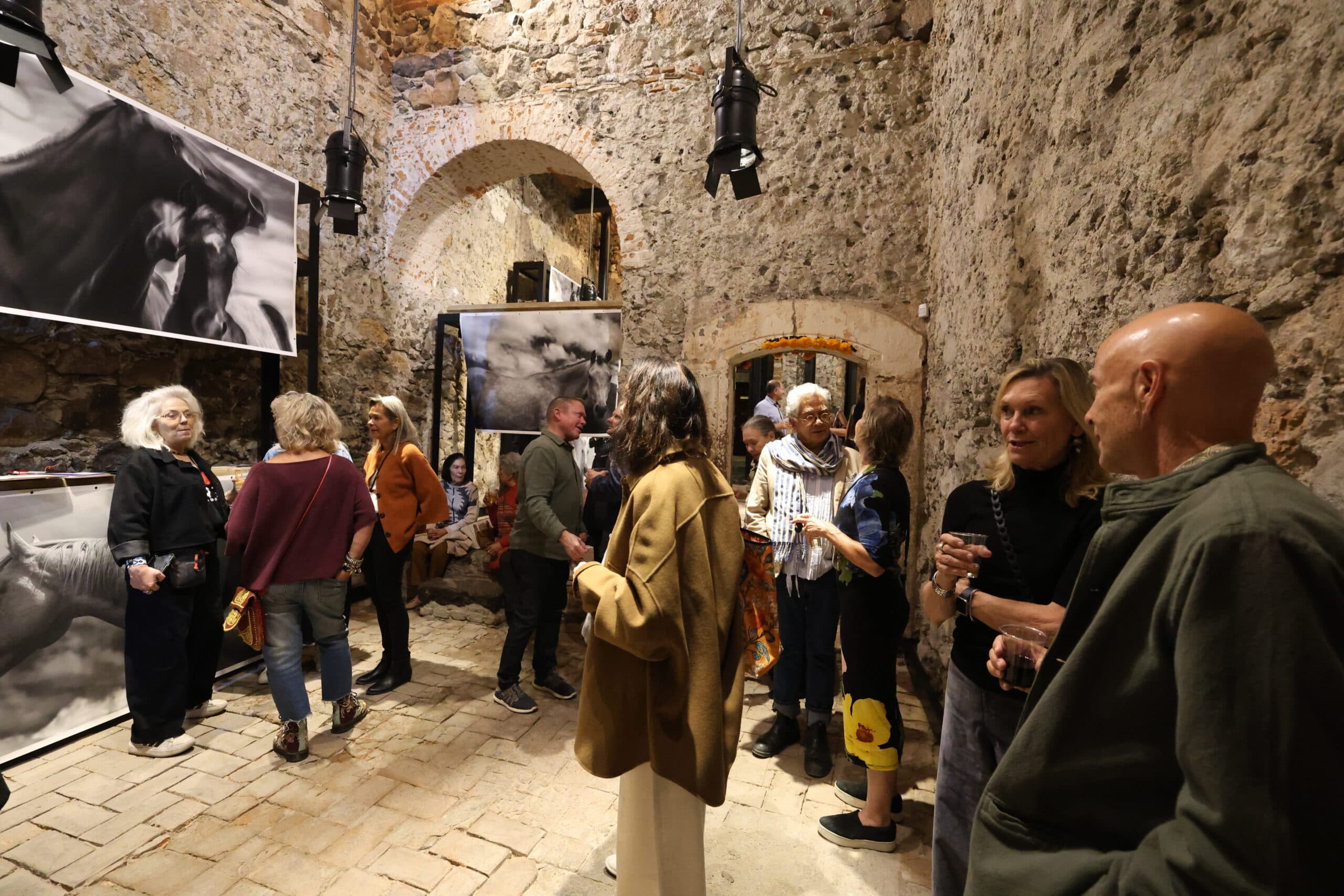 Echoes in Motion gallery photo 36