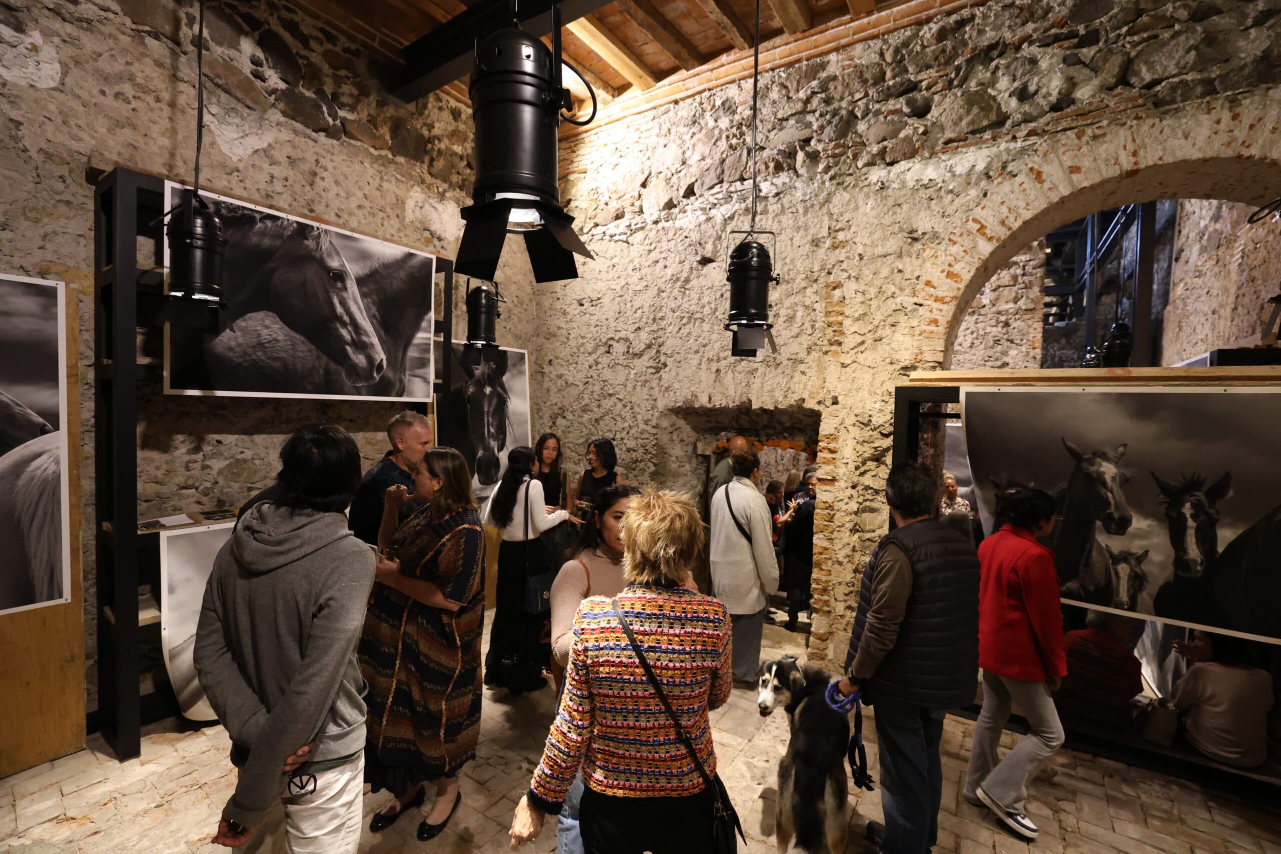 Echoes in Motion gallery photo 41
