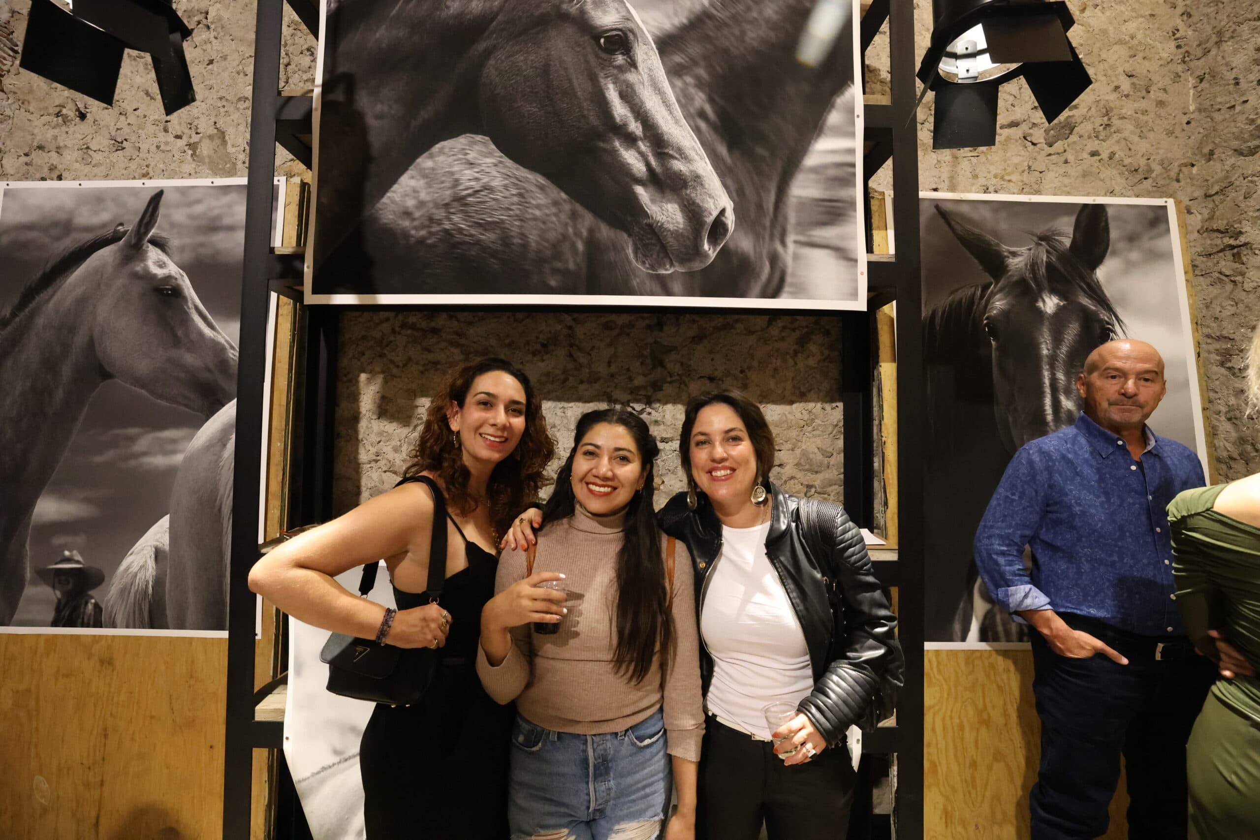 Echoes in Motion gallery photo 53