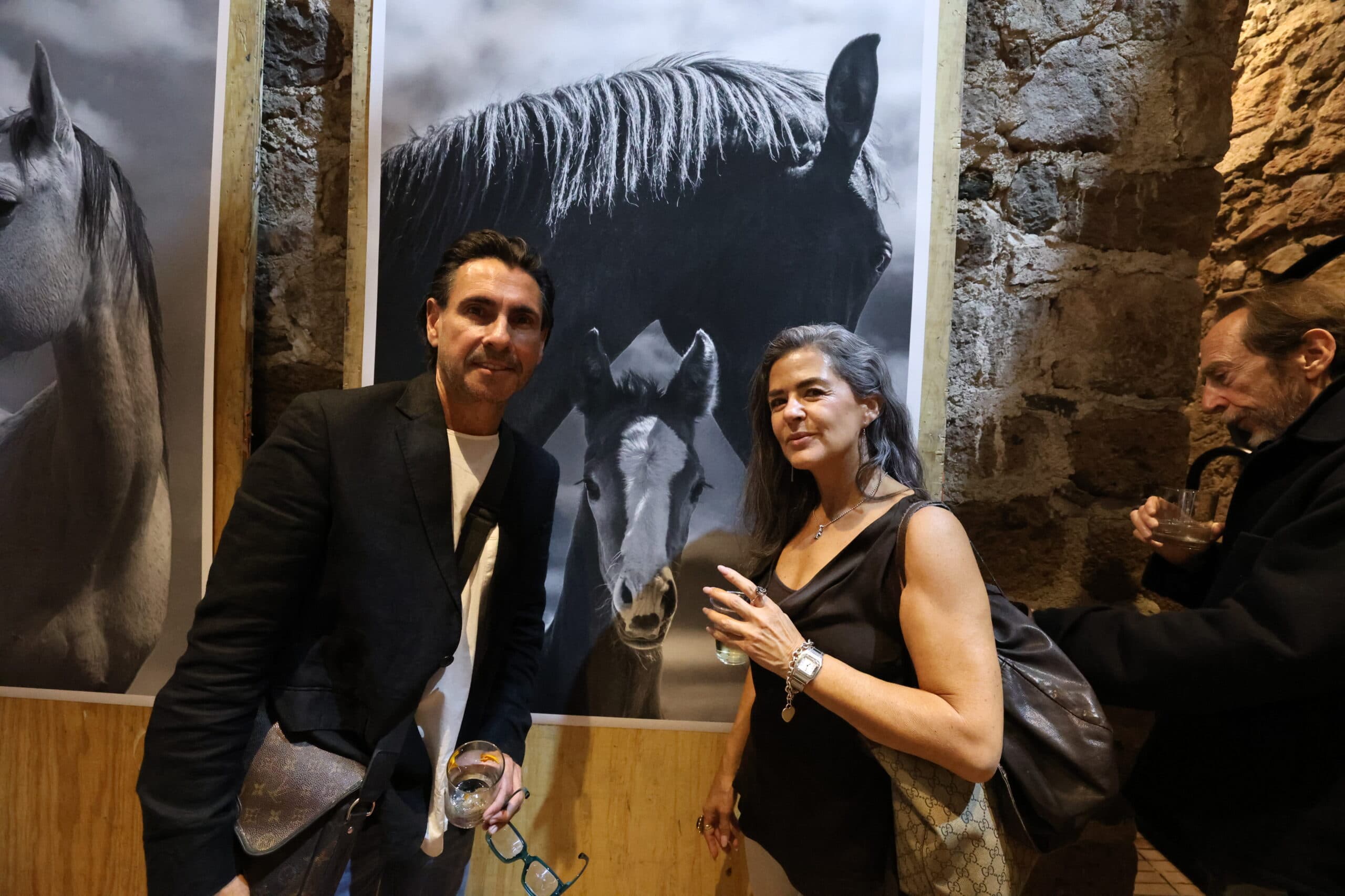 Echoes in Motion gallery photo 55