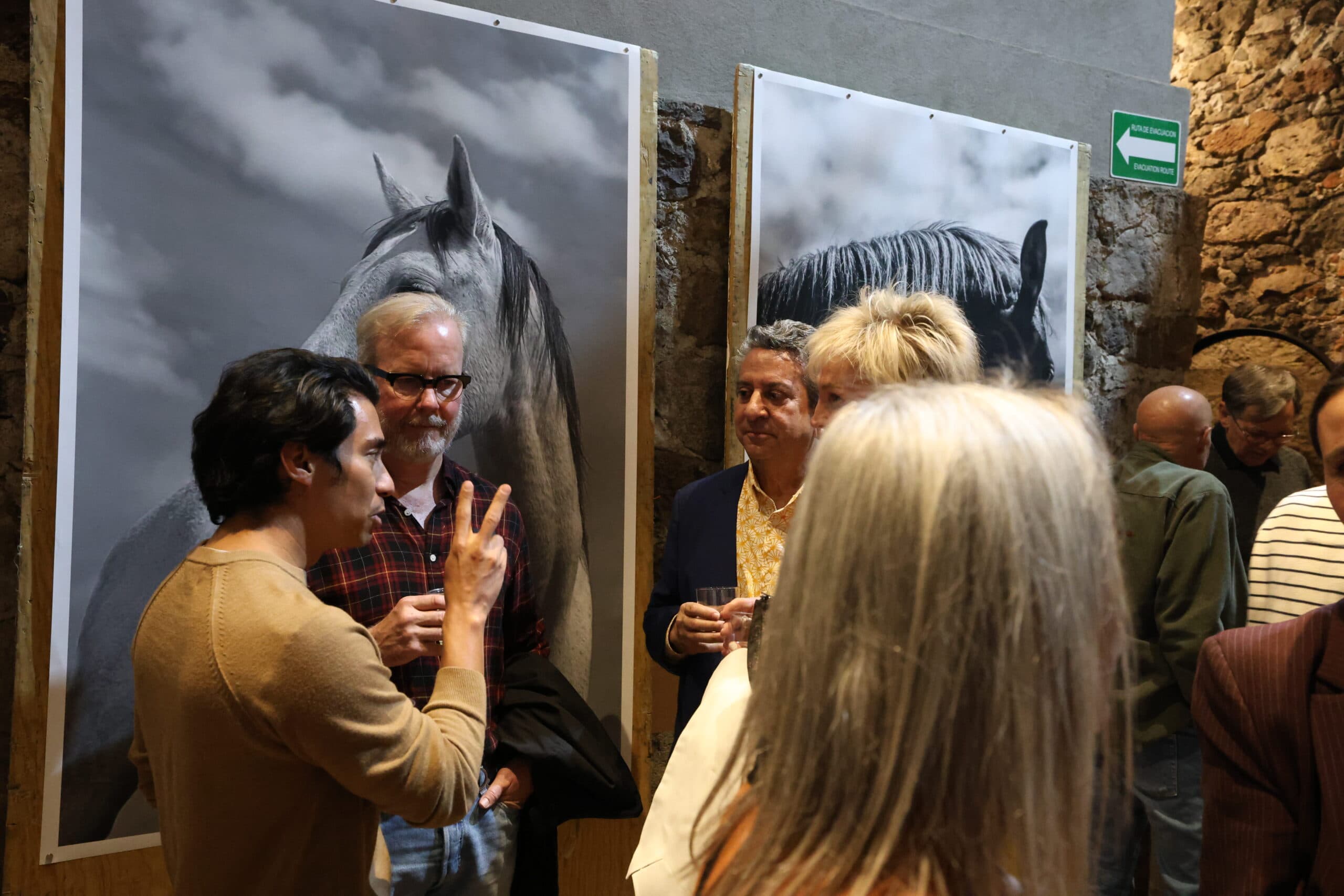 Echoes in Motion gallery photo 62