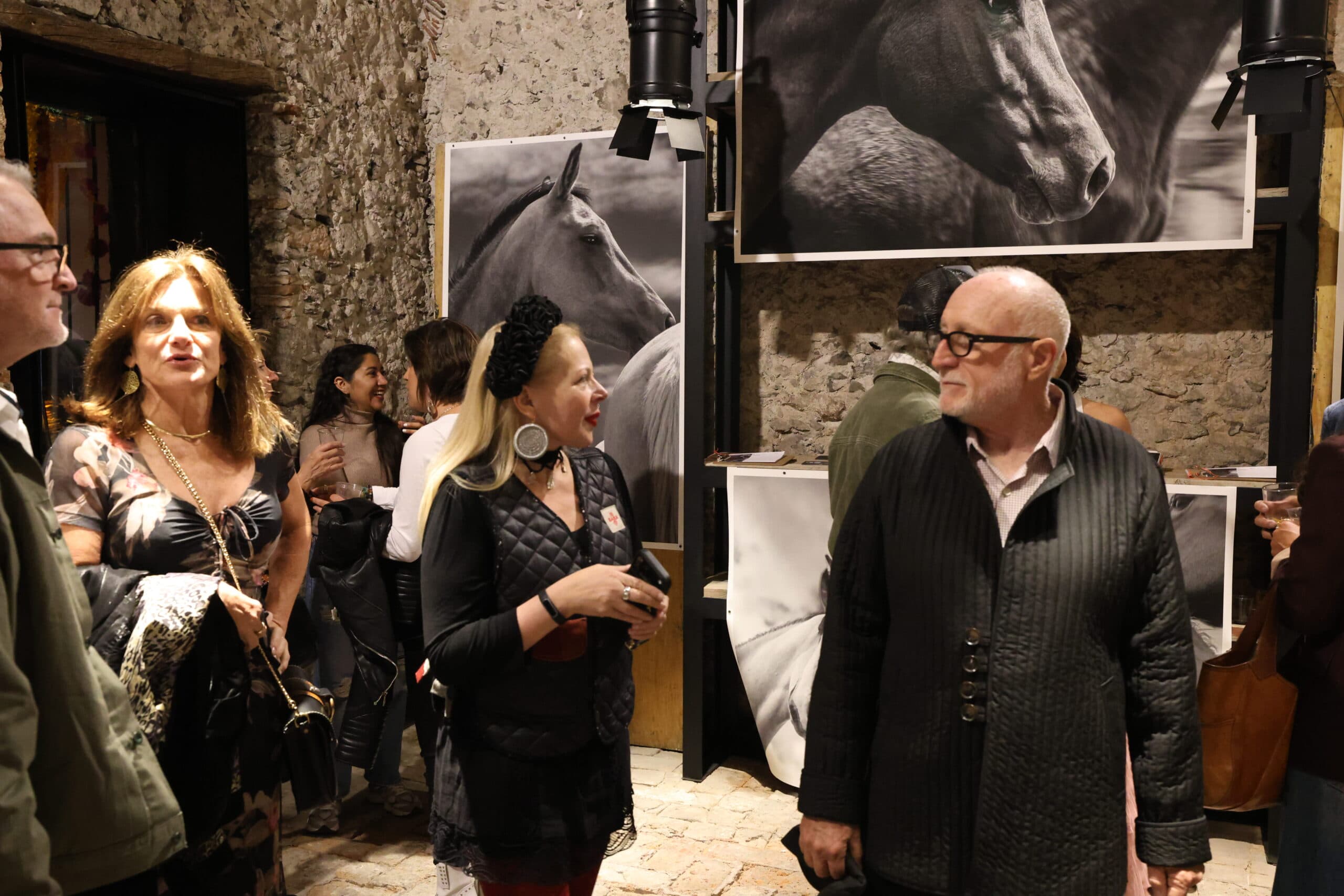 Echoes in Motion gallery photo 66