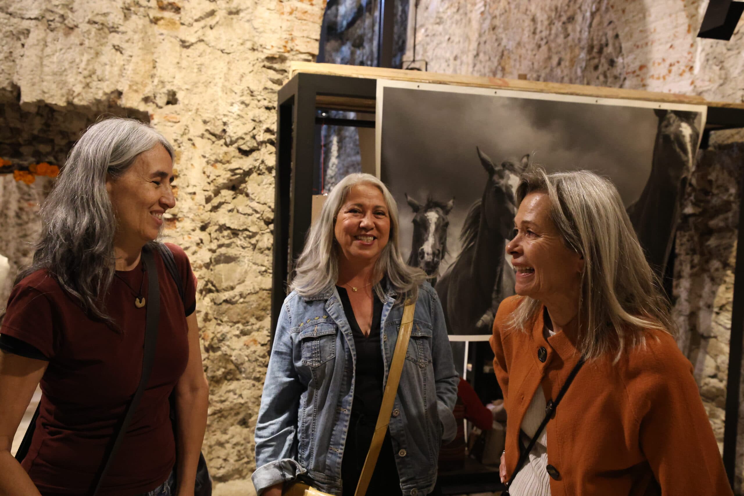 Echoes in Motion gallery photo 67