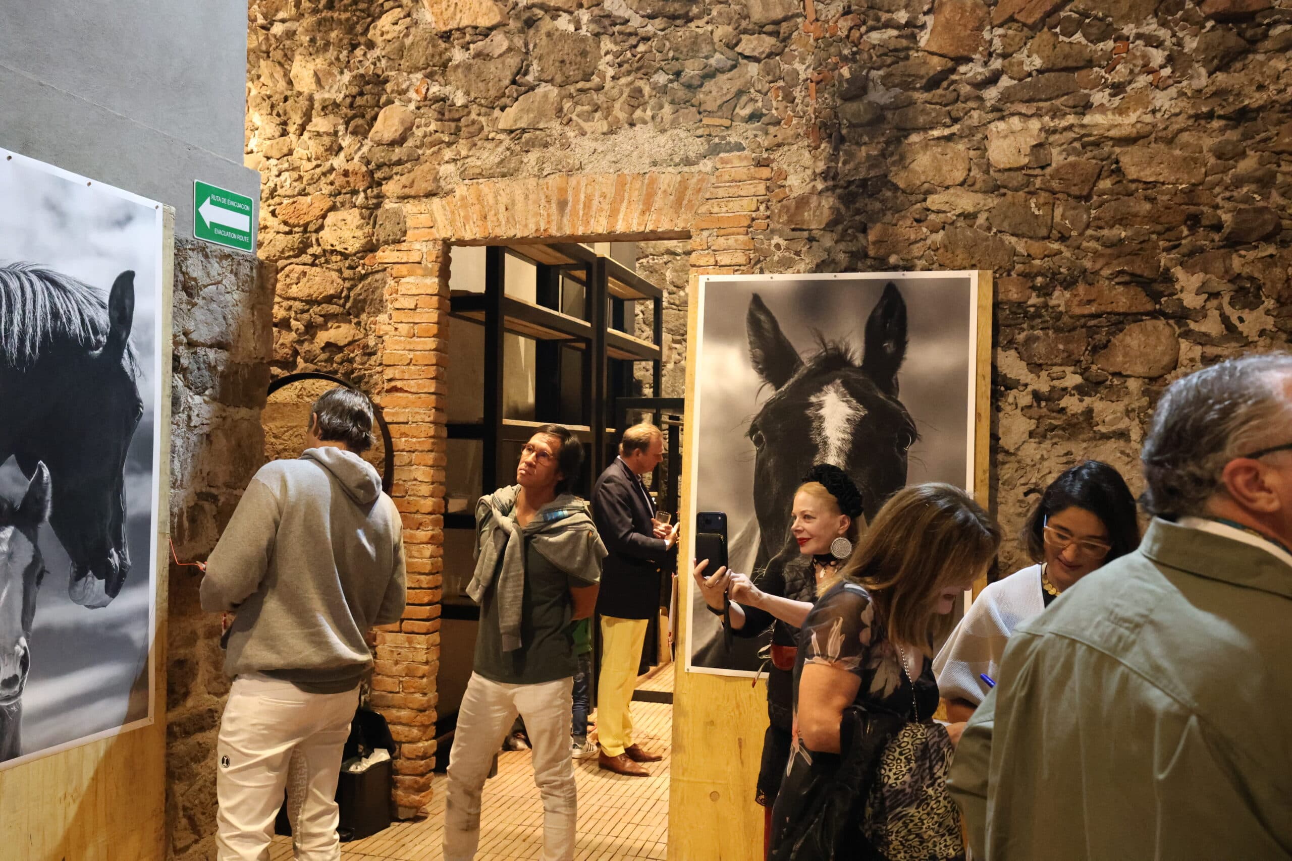 Echoes in Motion gallery photo 68