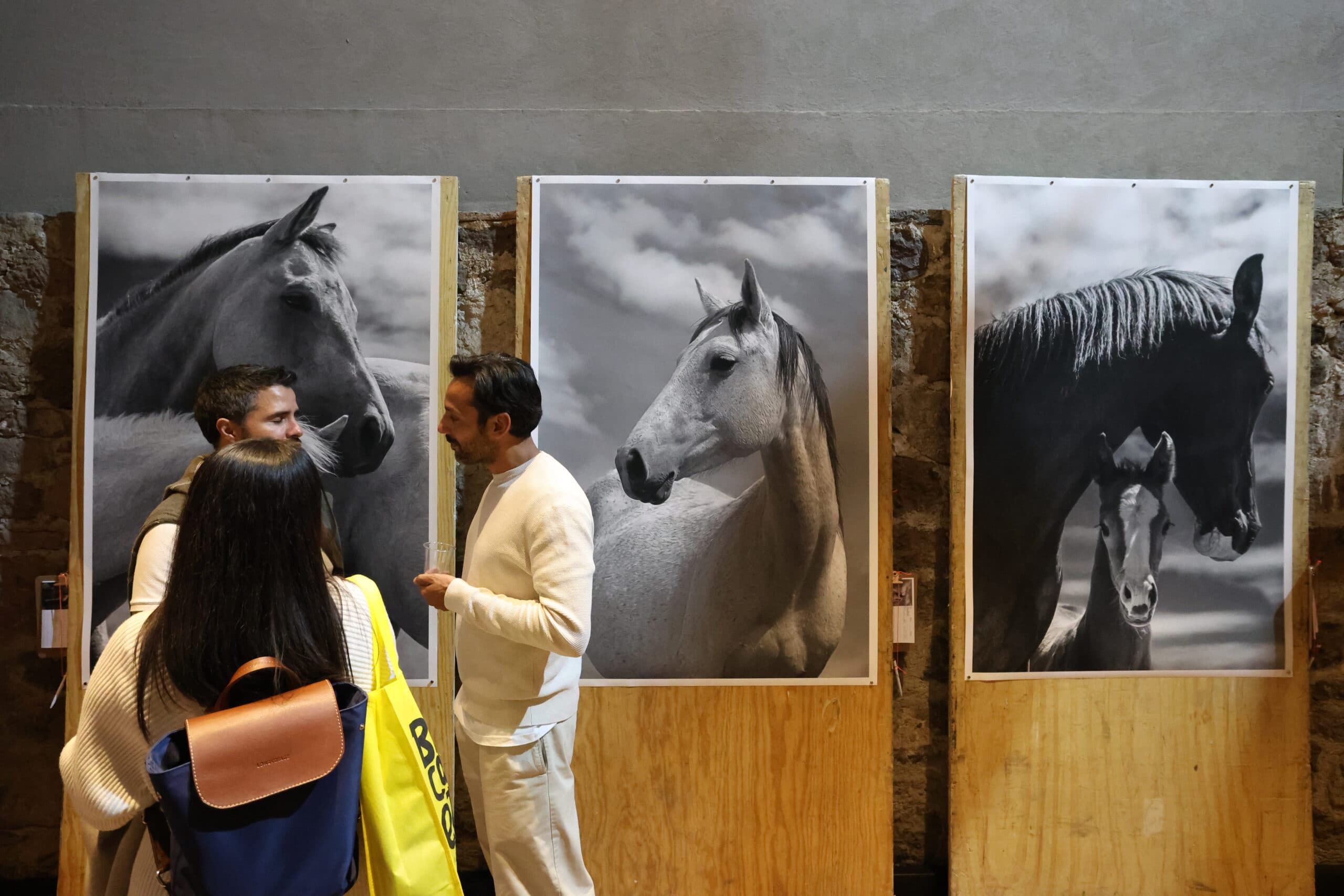 Echoes in Motion gallery photo 69