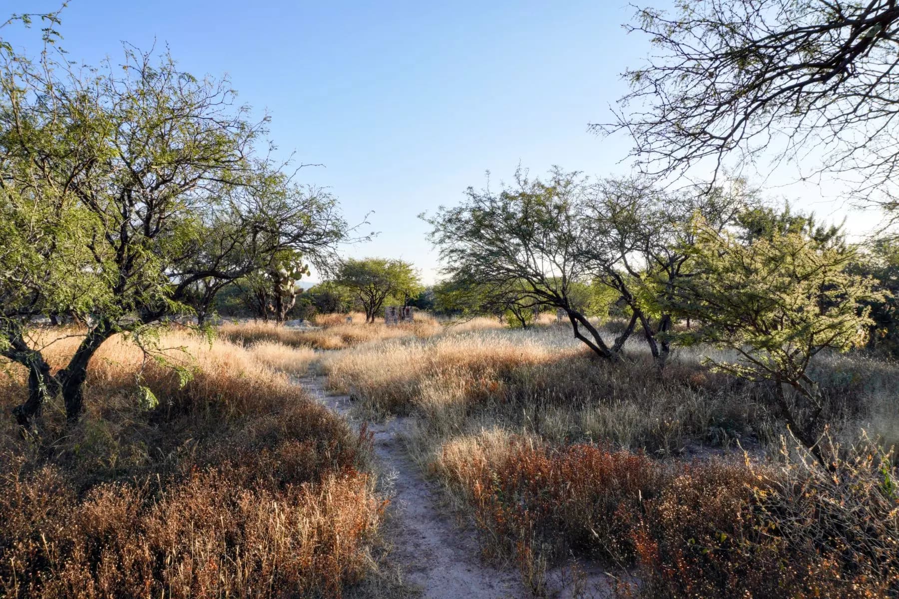 Lote en La Reserva Marroquin Abajo — photo 6 of 10