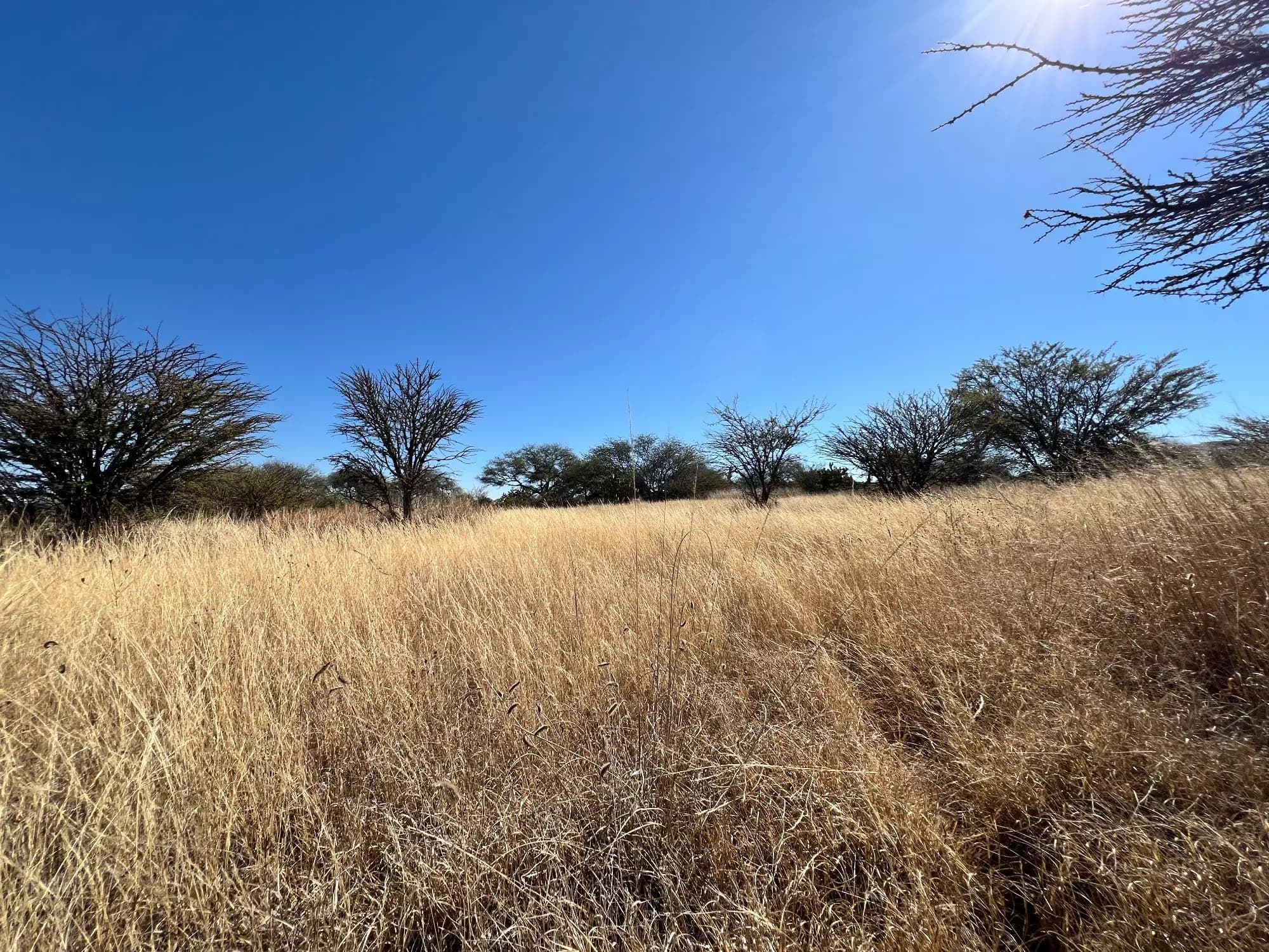 5.9 acres of Premium Land — photo 4 of 10