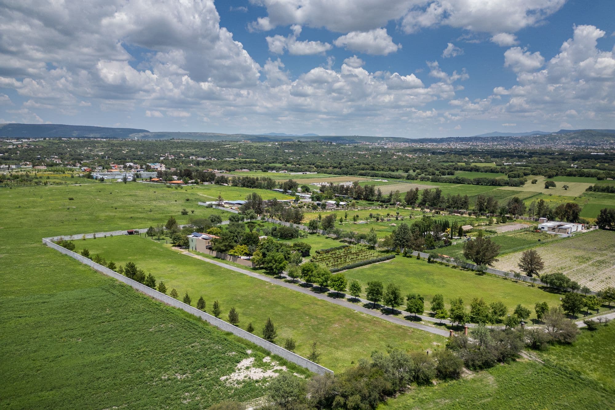 Villa Los Olivos Lot — photo 5 of 10