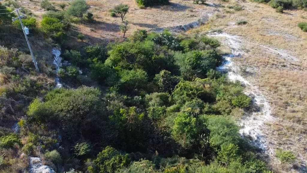 Terreno La Cieneguita — photo 8 of 10