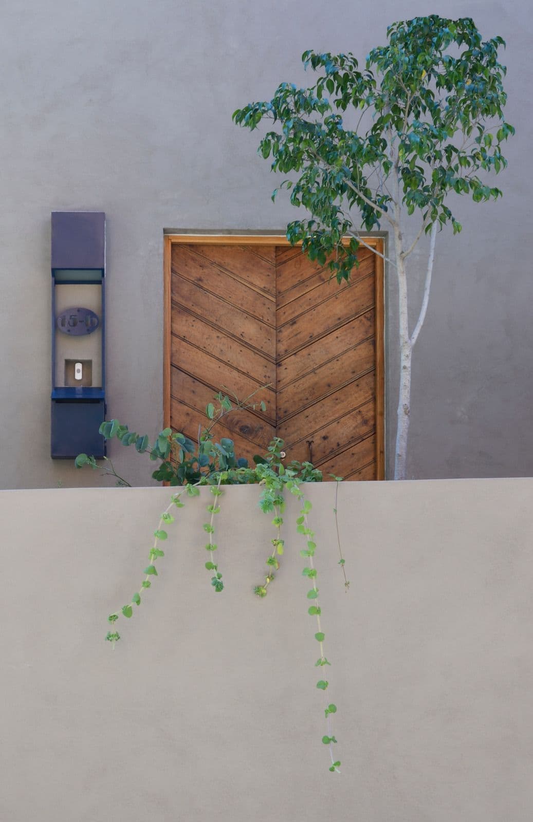 Casa Estudio en el Árbol — photo 4 of 10