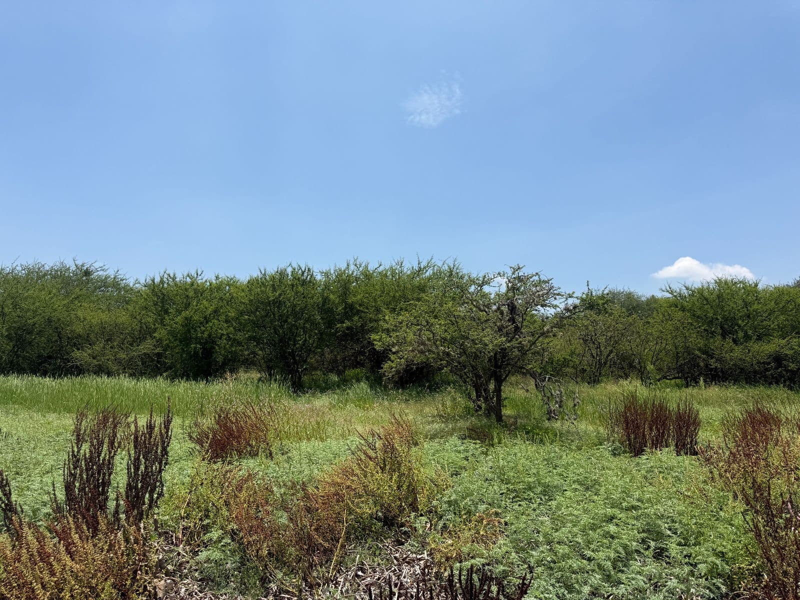 LOTE 4 HERITAGE FRENTE A LA PRESA EN VENTA — photo 5 of 8