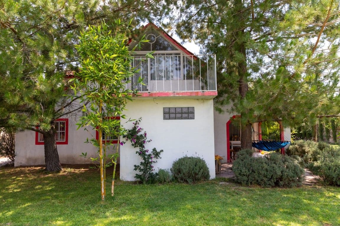 1954 Juan Xido — photo 7 of 10