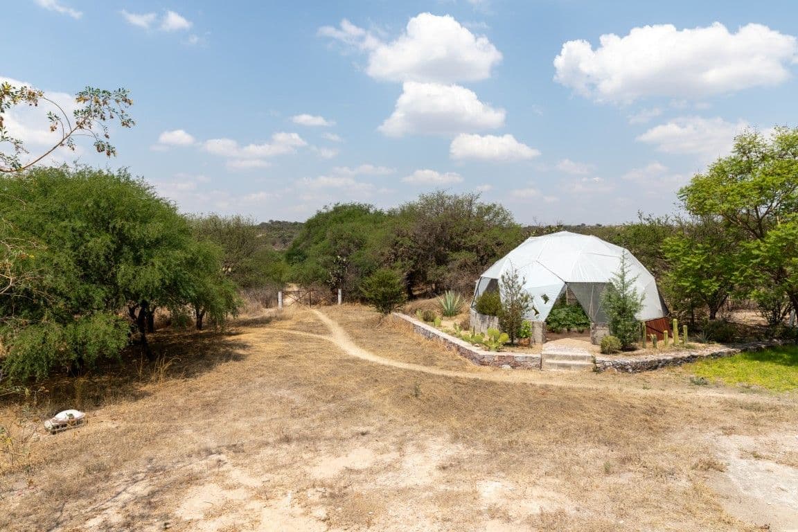1954 Juan Xido — photo 6 of 10