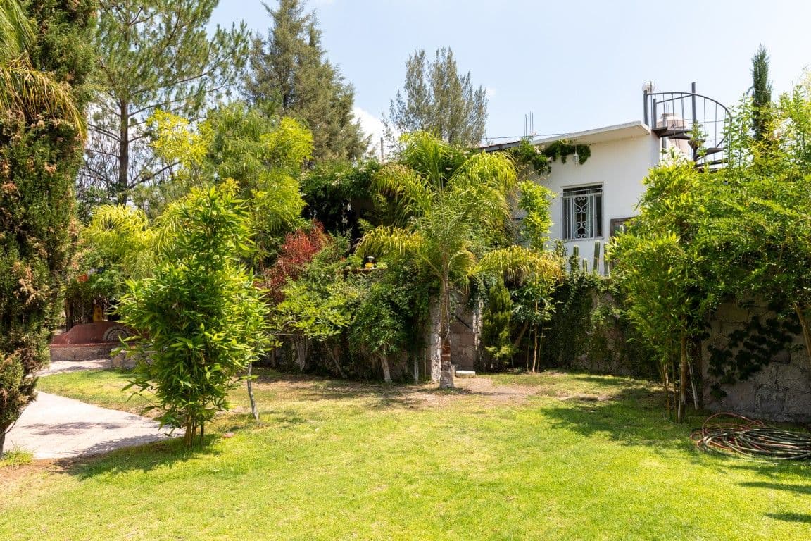 1954 Juan Xido — photo 4 of 10