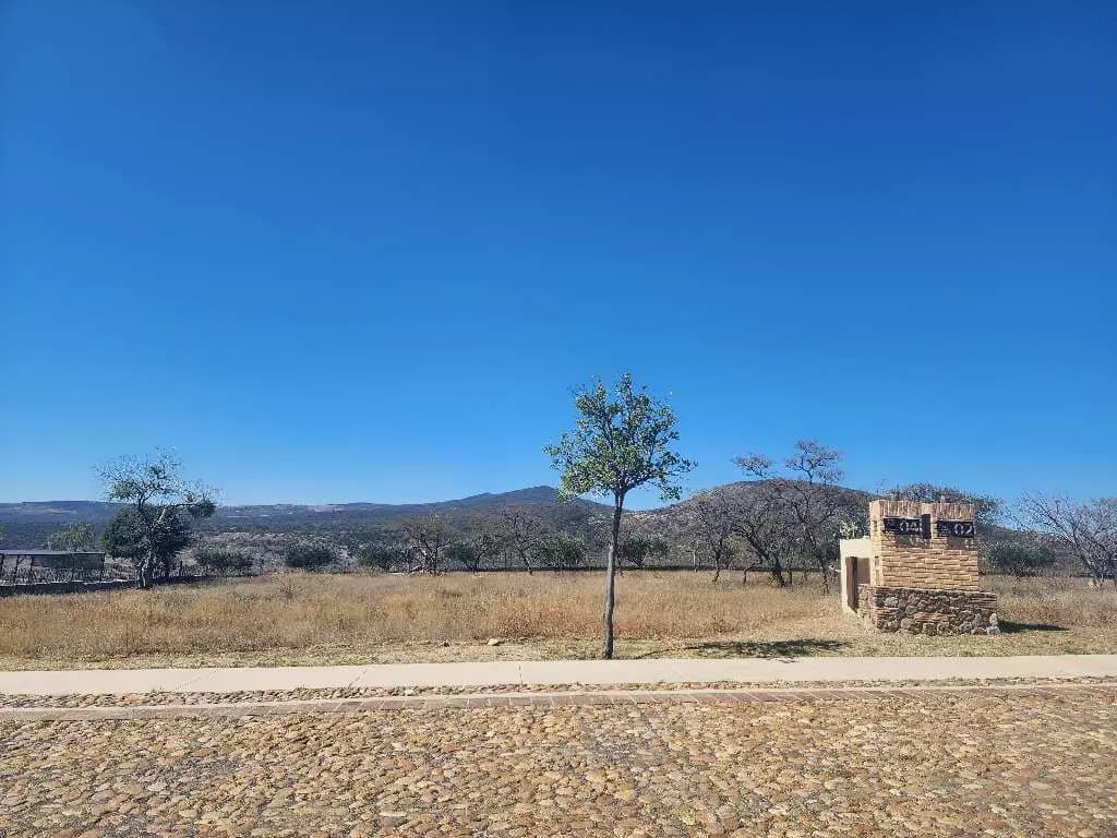 Viñedo San Miguel L2 M4 Cabernet — photo 4 of 10