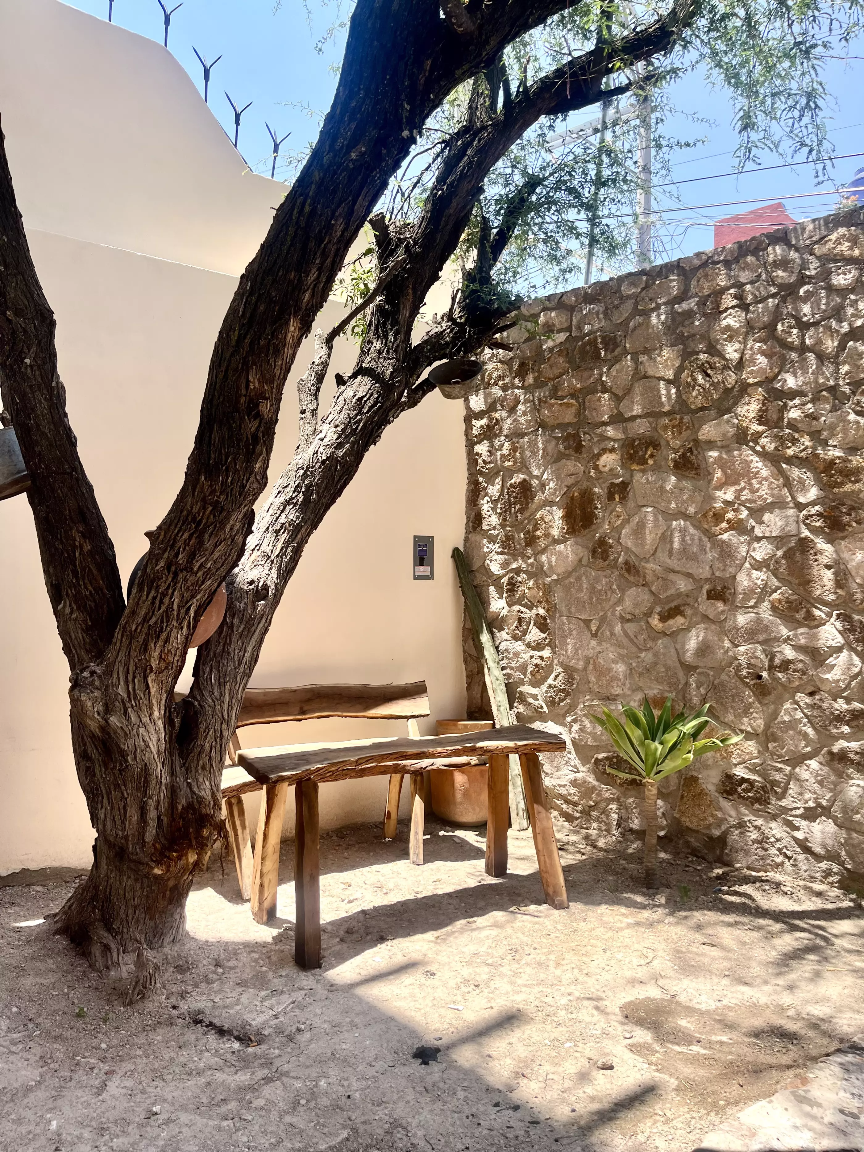 Casa Santa Julia — photo 5 of 10