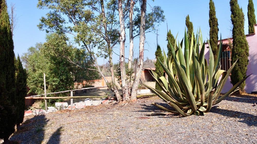 Ranchito Palo Dulzar — photo 9 of 10