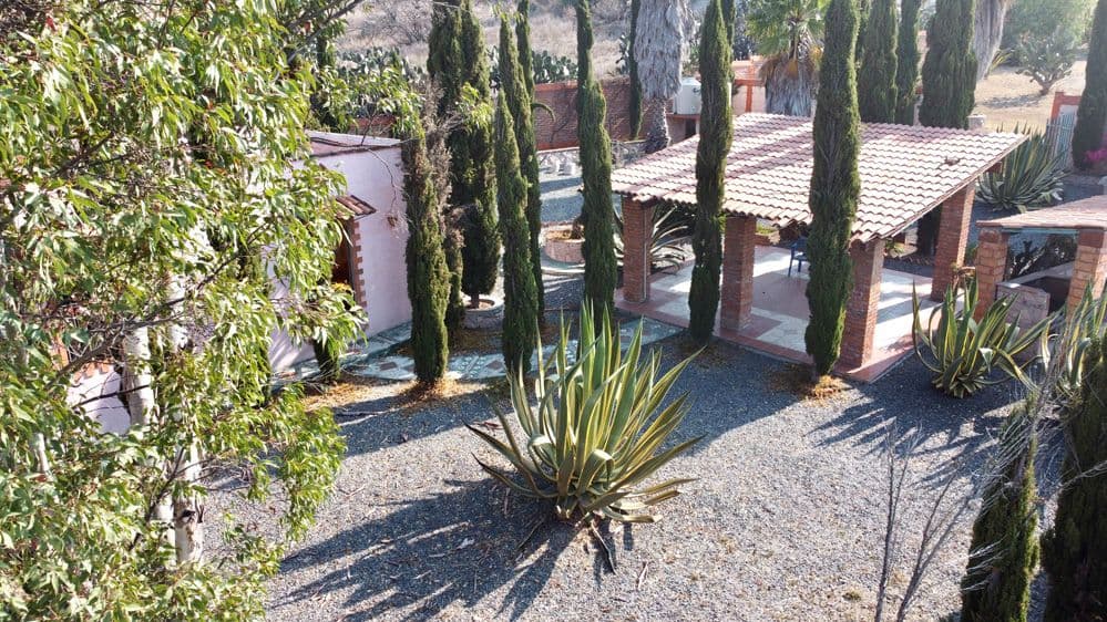 Ranchito Palo Dulzar — photo 7 of 10