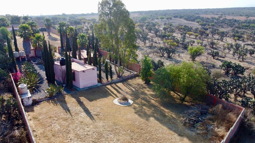 Ranchito Palo Dulzar — photo 10 of 10