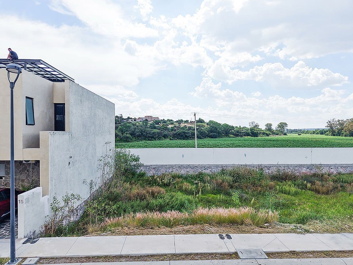 Zirándaro Lavanda Lot 7 — photo 3 of 10
