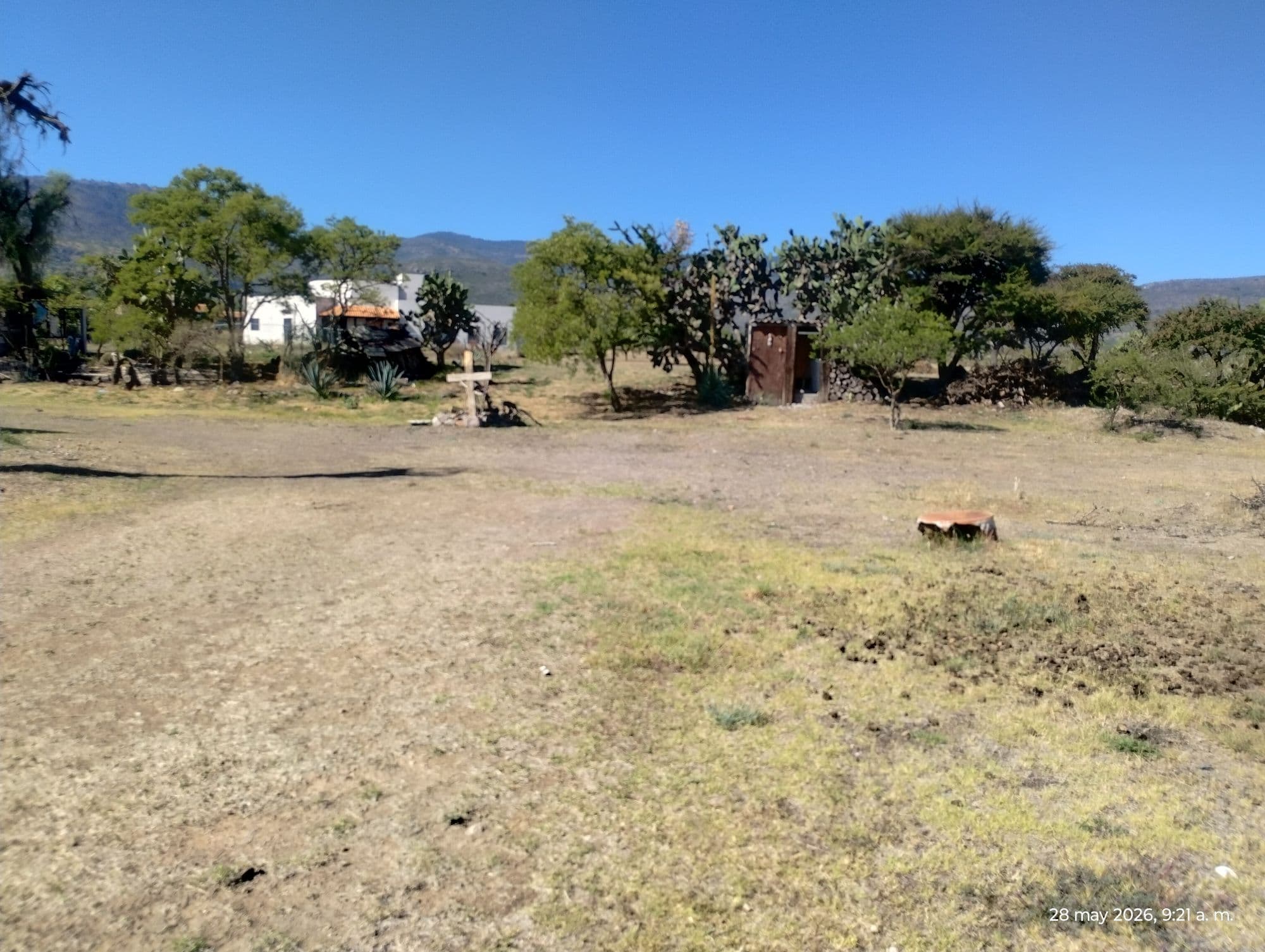LOTE LA PURISIMA — photo 7 of 10