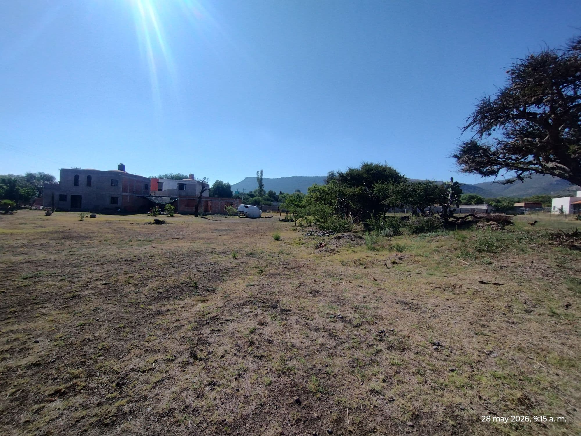 LOTE LA PURISIMA — photo 2 of 10