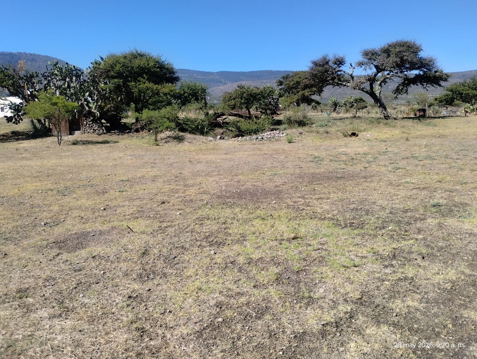 LOTE LA PURISIMA — photo 1 of 10