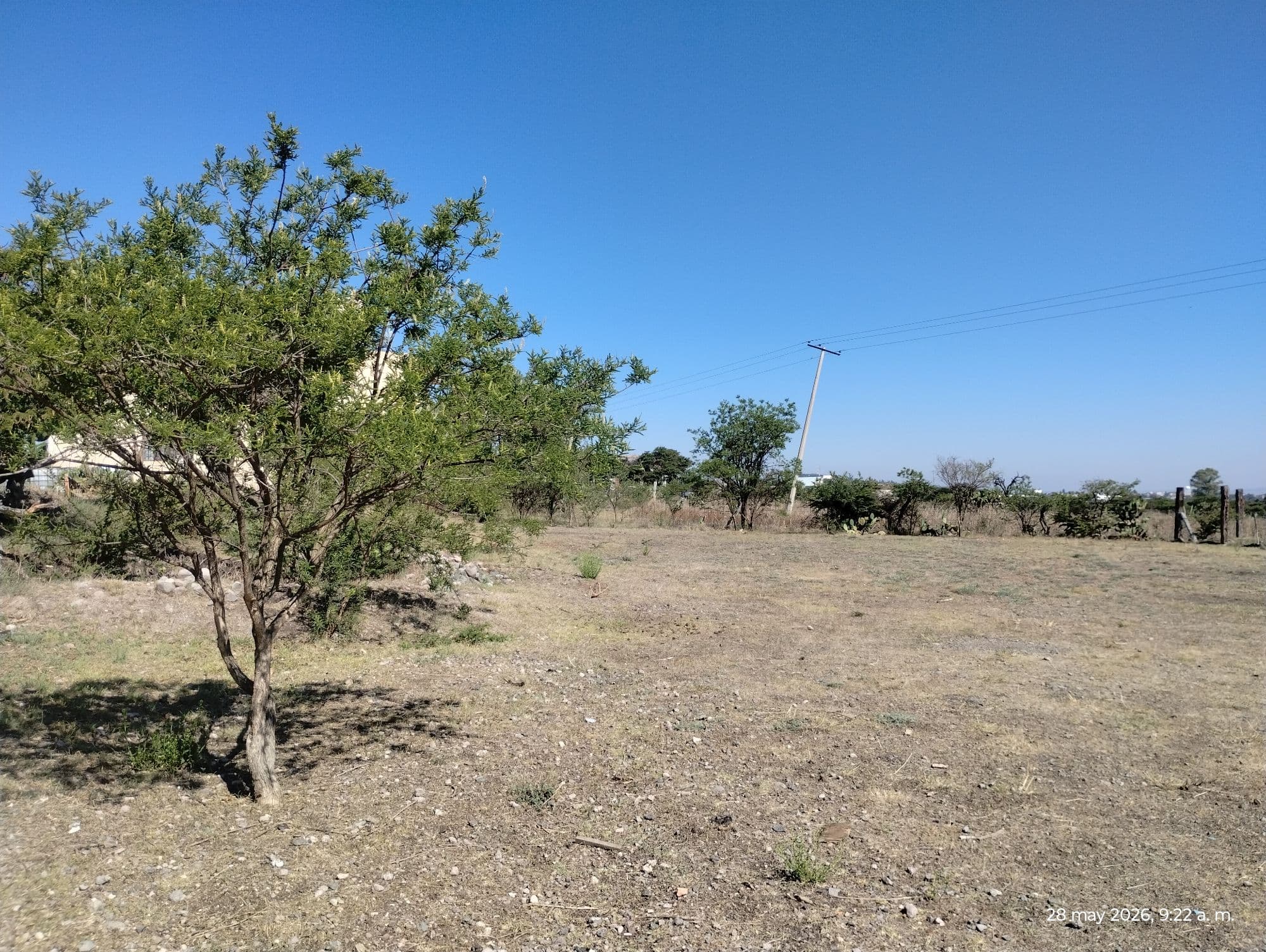 LOTE LA PURISIMA — photo 10 of 10