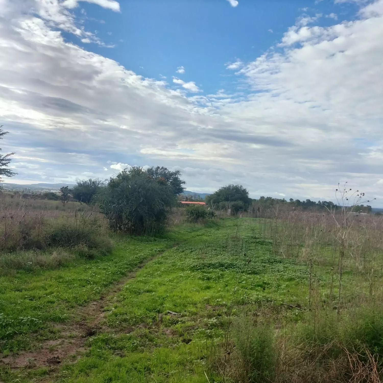 Lote Puente C 19 — photo 2 of 5