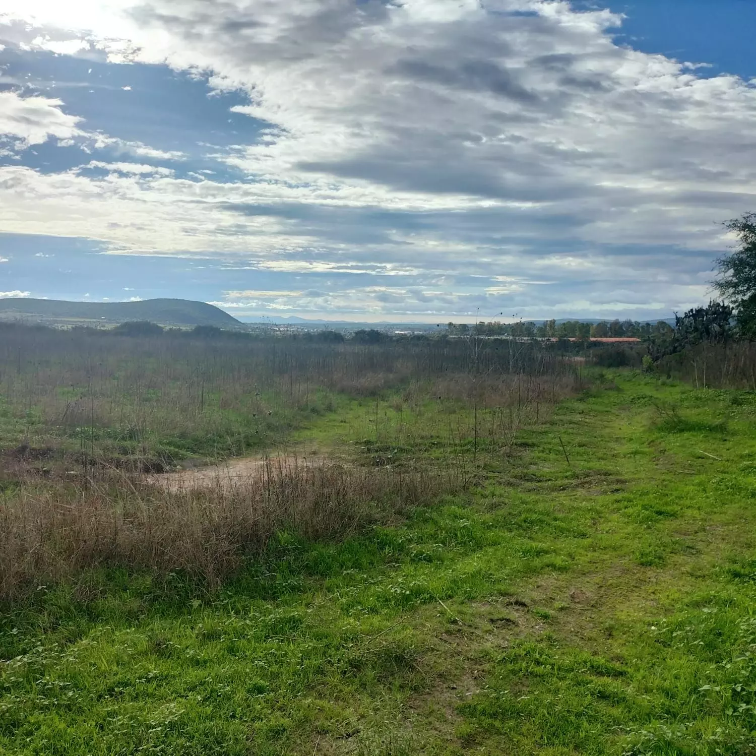 Lote Puente C 19 — photo 4 of 5