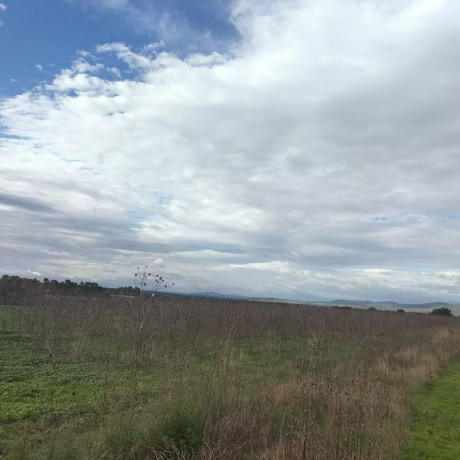 Lote Puente C 19 — photo 5 of 5