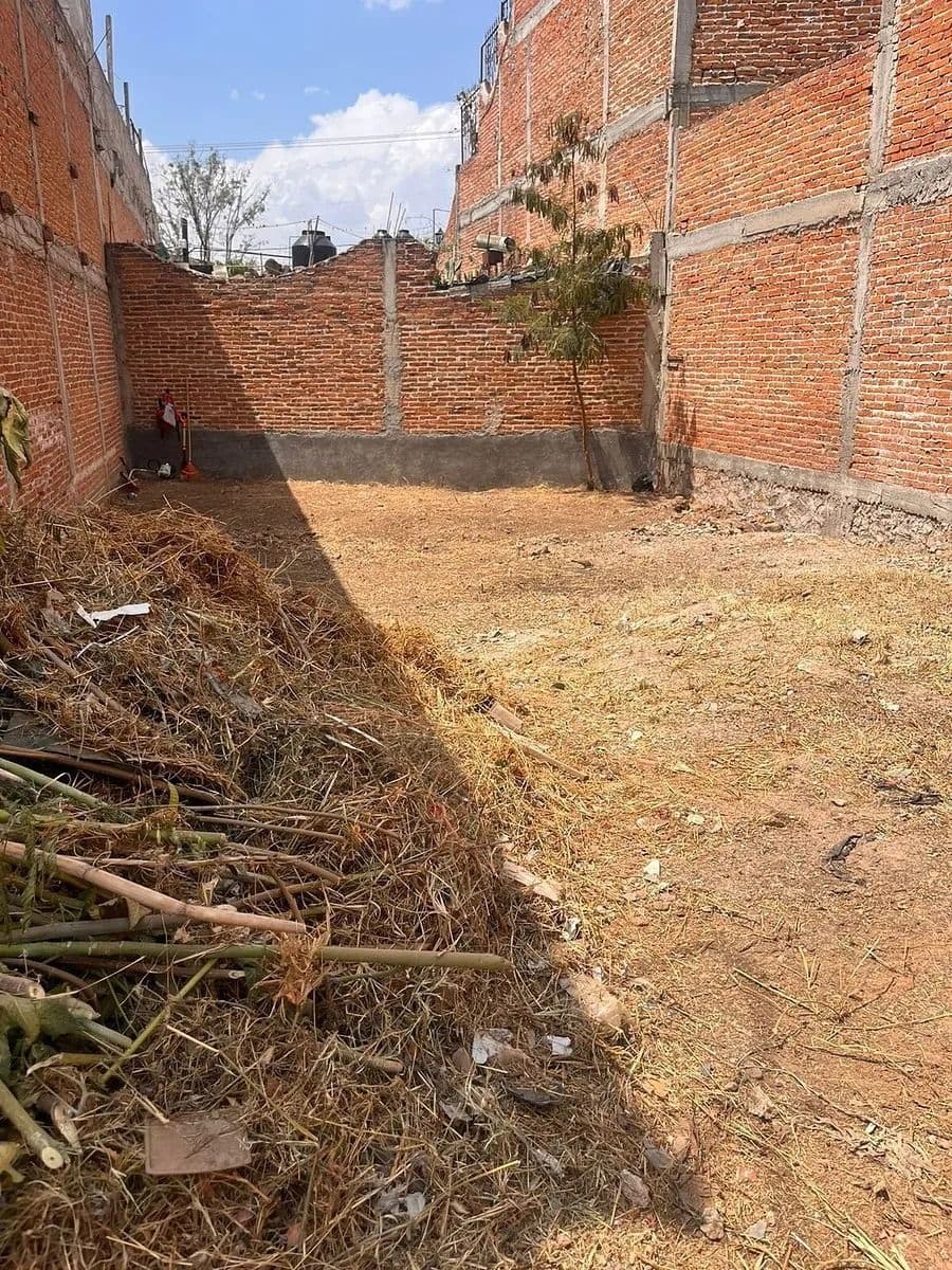 Lote Insurgentes — photo 7 of 9