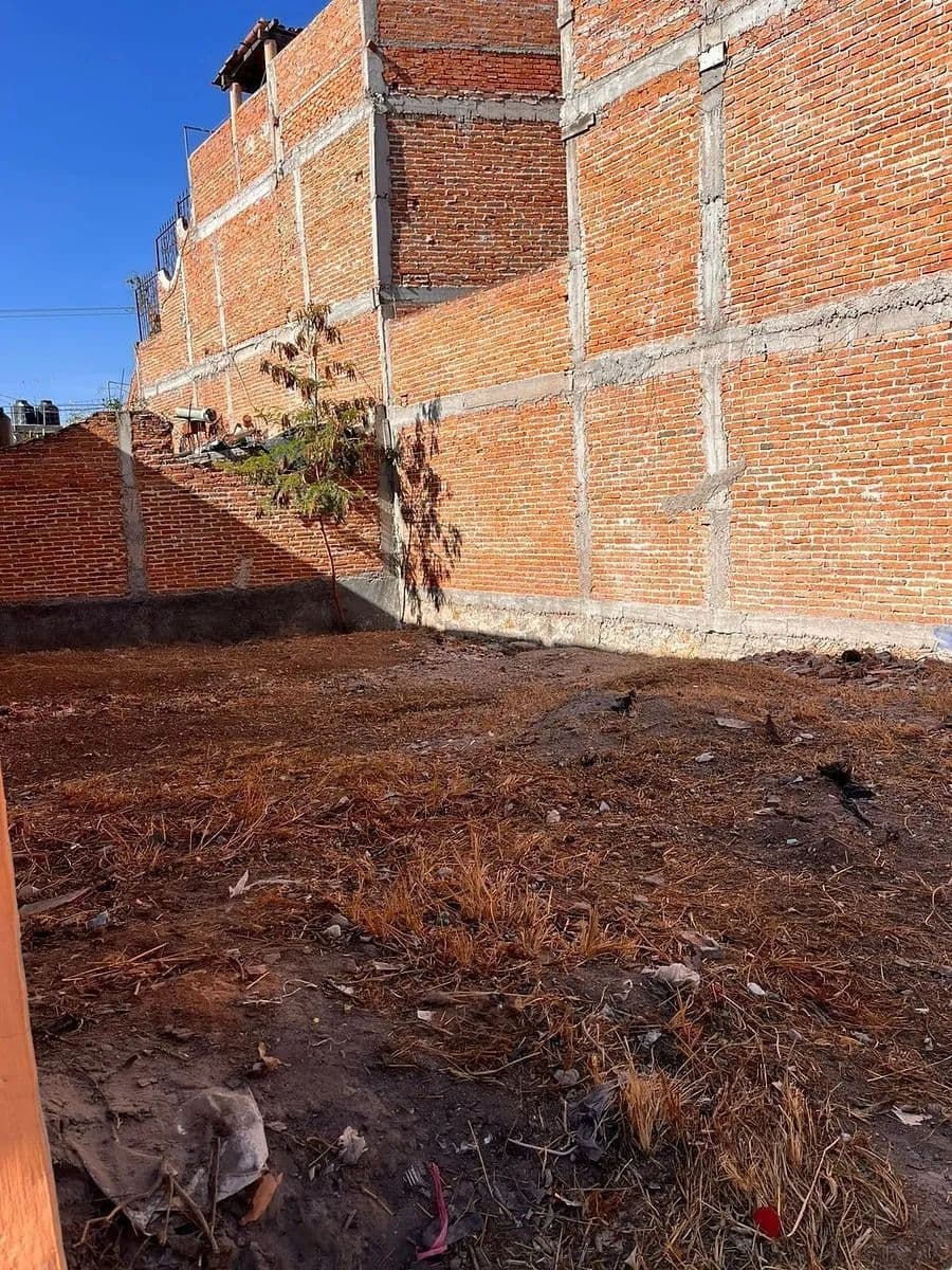 Lote Insurgentes — photo 4 of 9