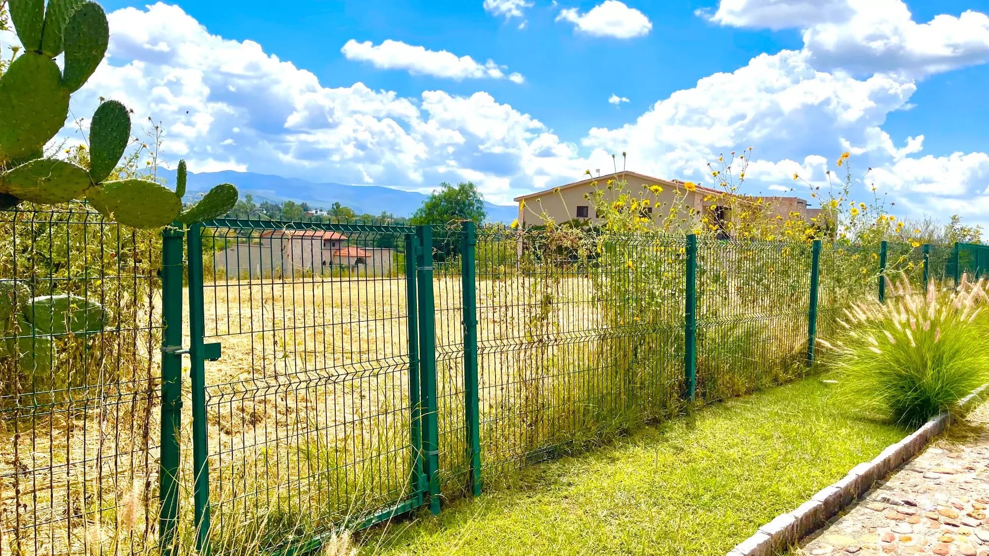 Lote dos Potrillos en La Loma — photo 3 of 10