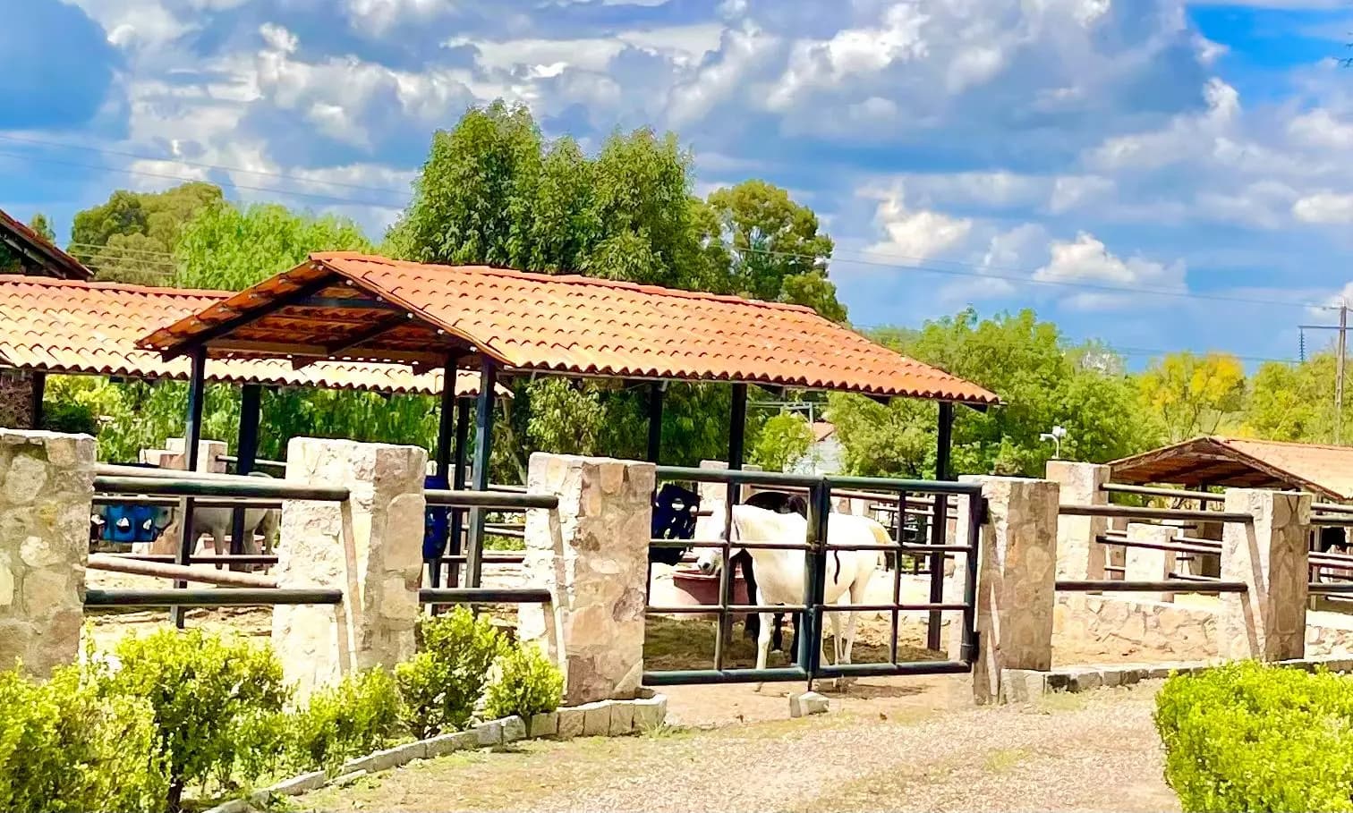 Lote dos Potrillos en La Loma — photo 4 of 10