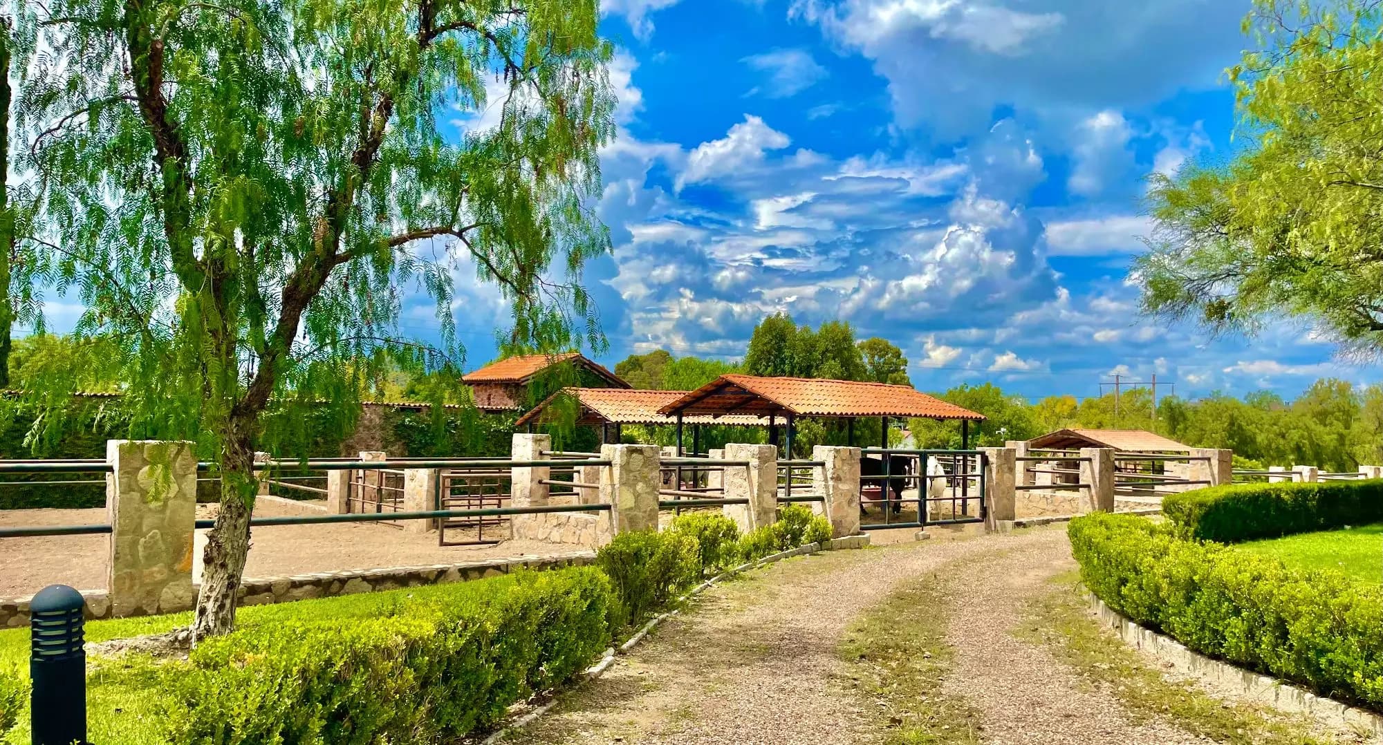 Lote dos Potrillos en La Loma — photo 6 of 10
