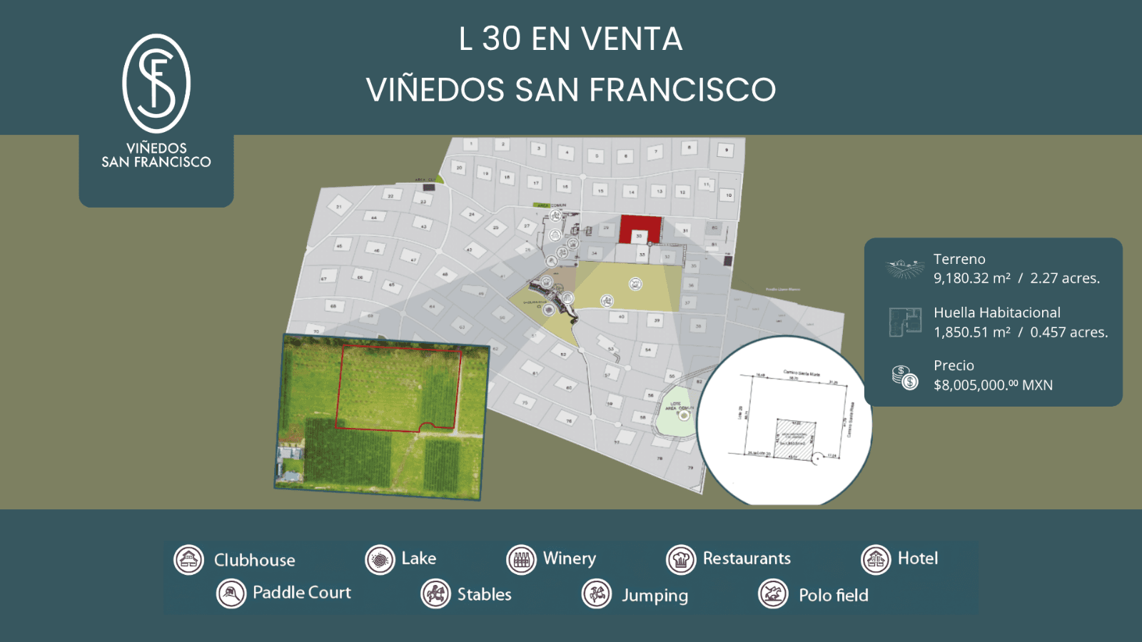 L30 VIÑEDOS SAN FRANCISCO — photo 1 of 1